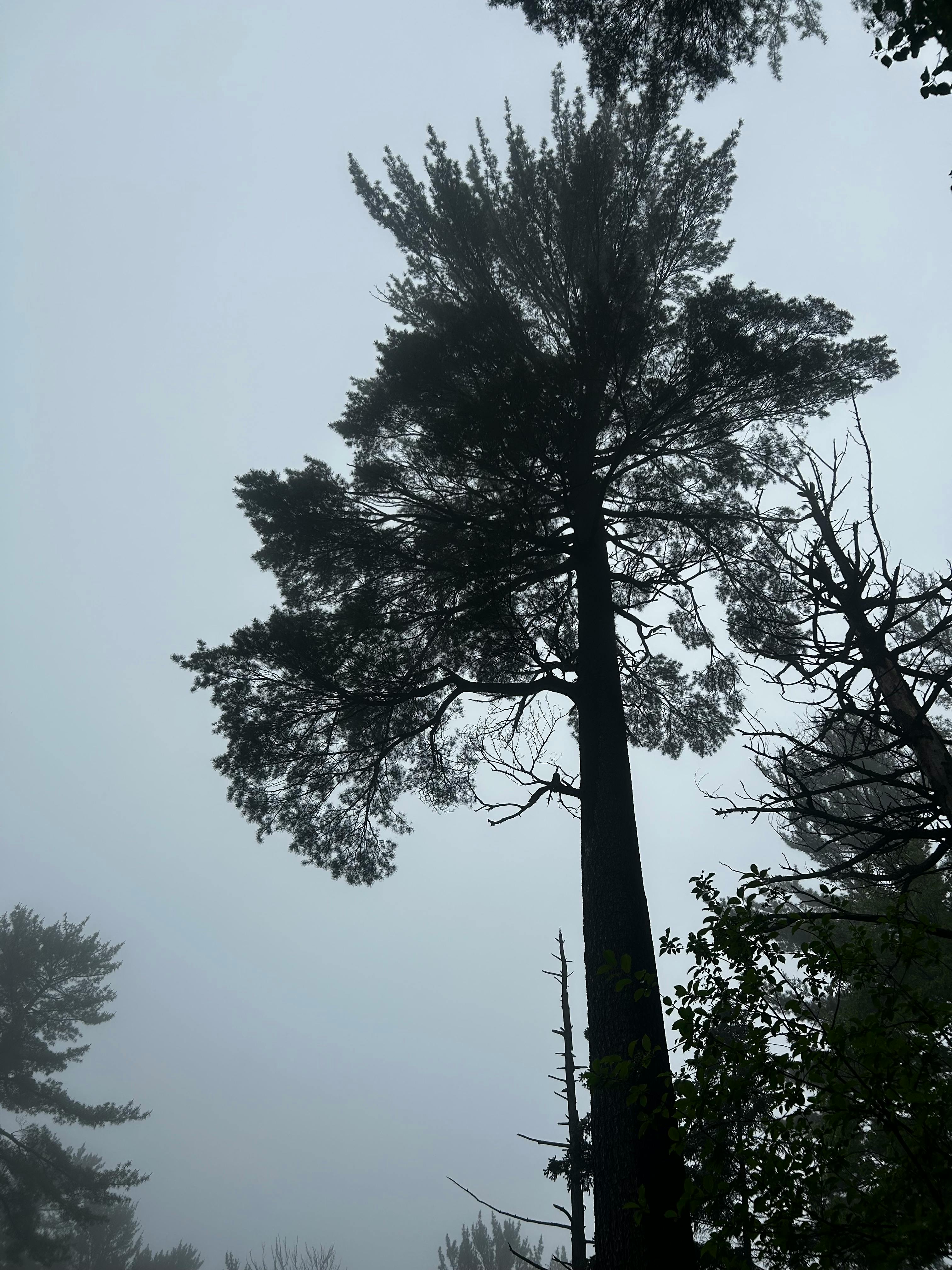 user avatar image for Chug Larson