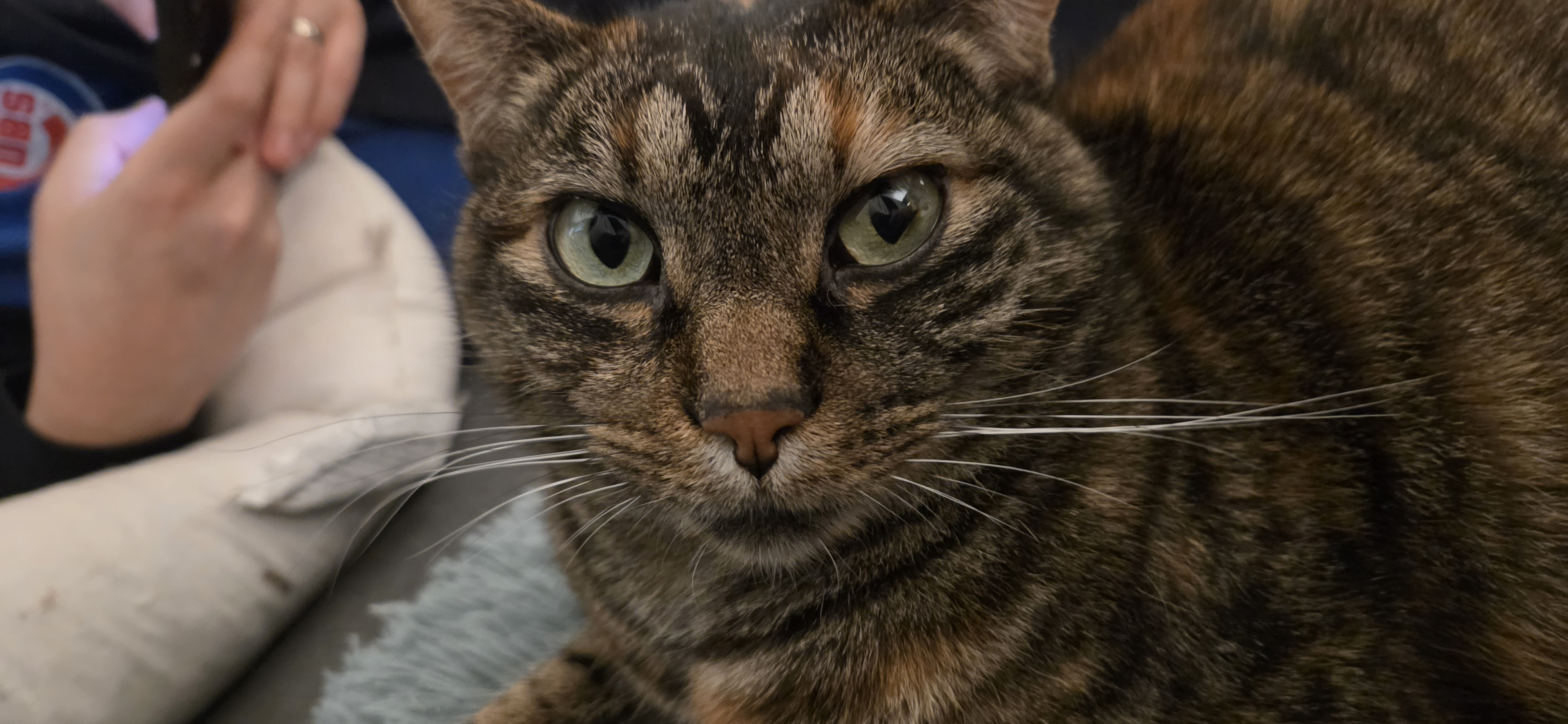 user avatar image for Ashley