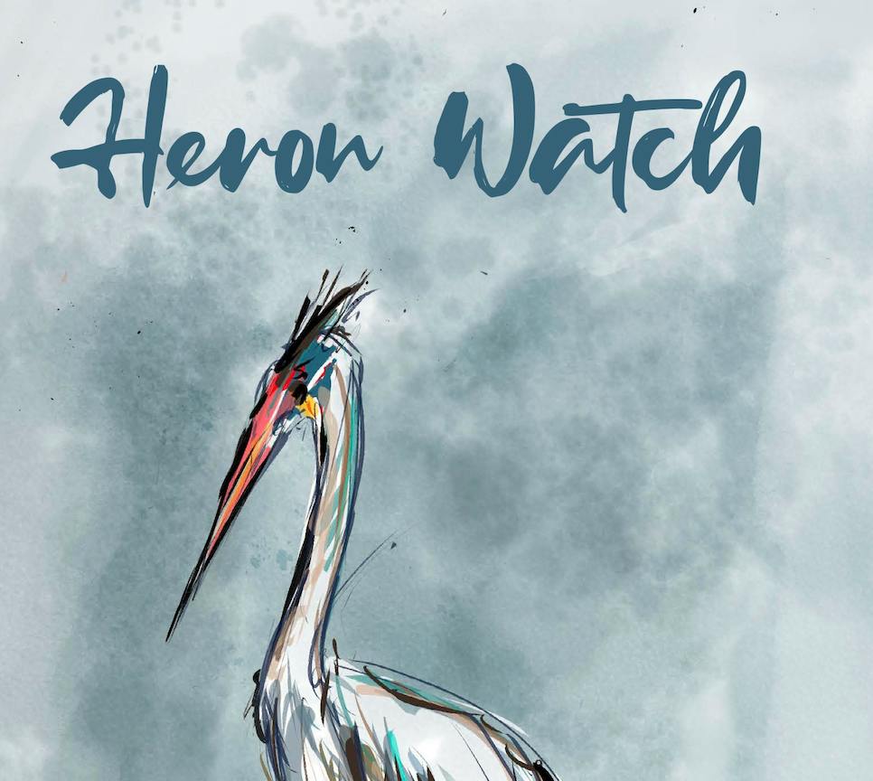 project cover image