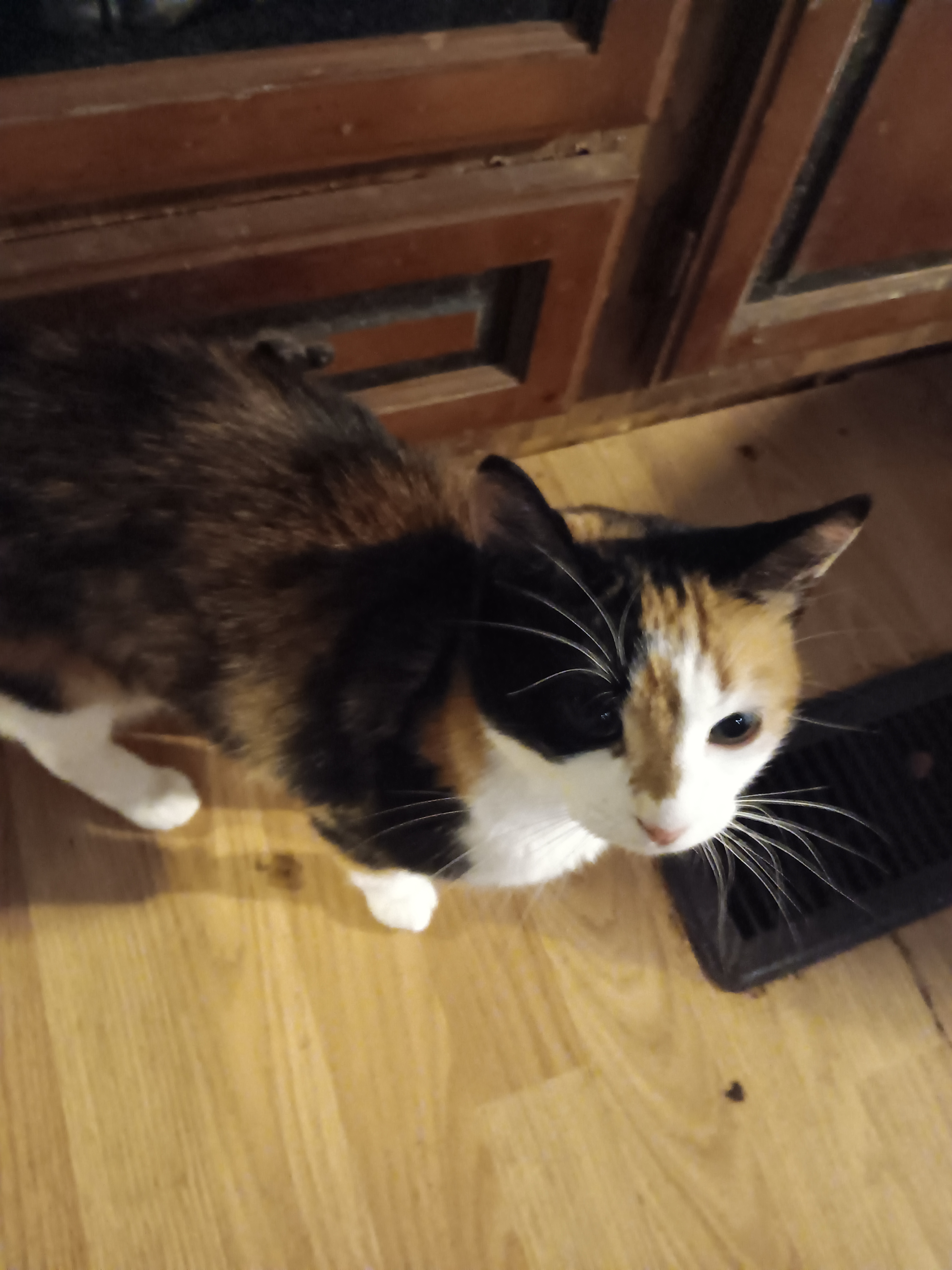 user avatar image for Aurorablade