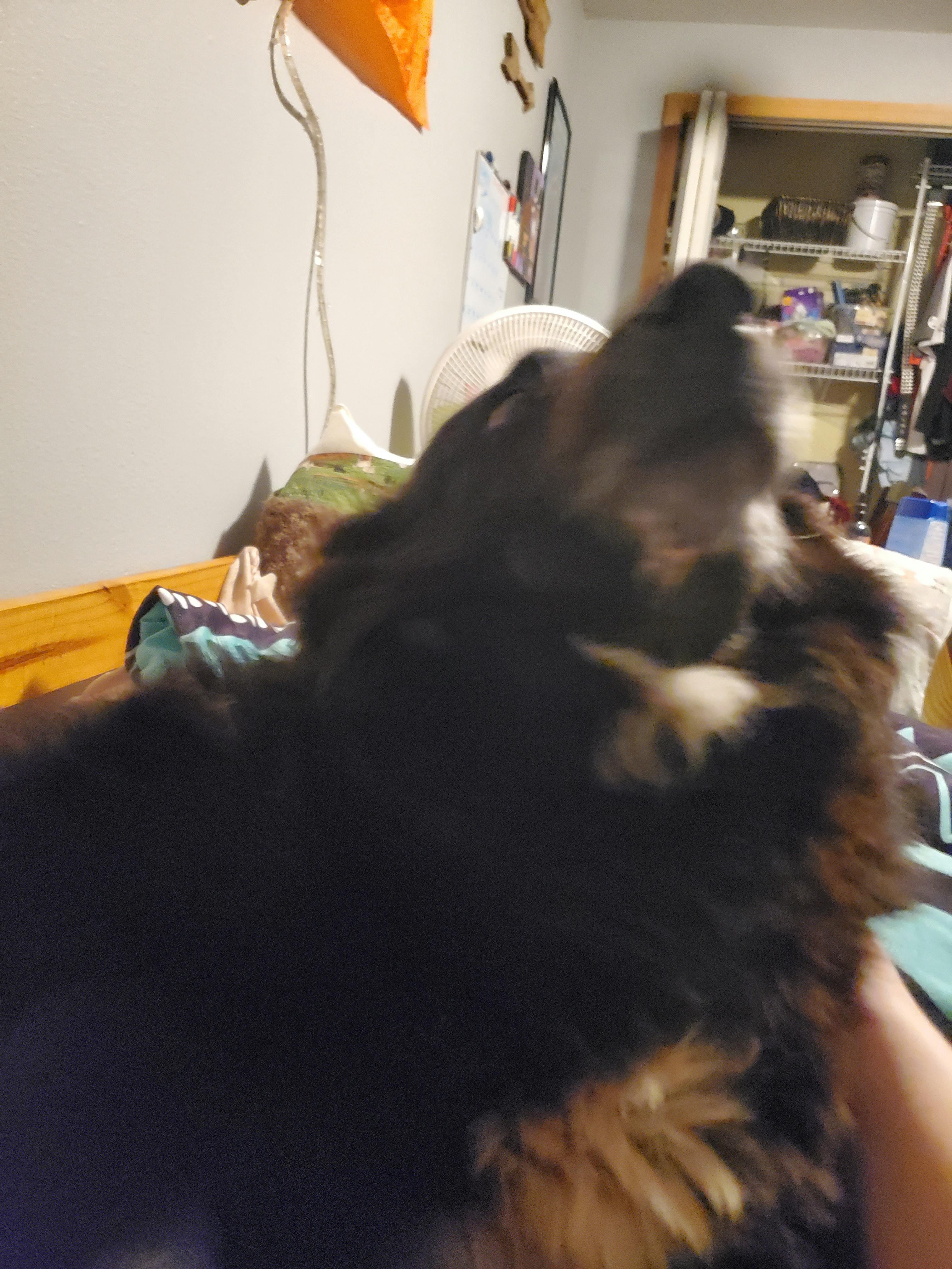 user avatar image for Eris