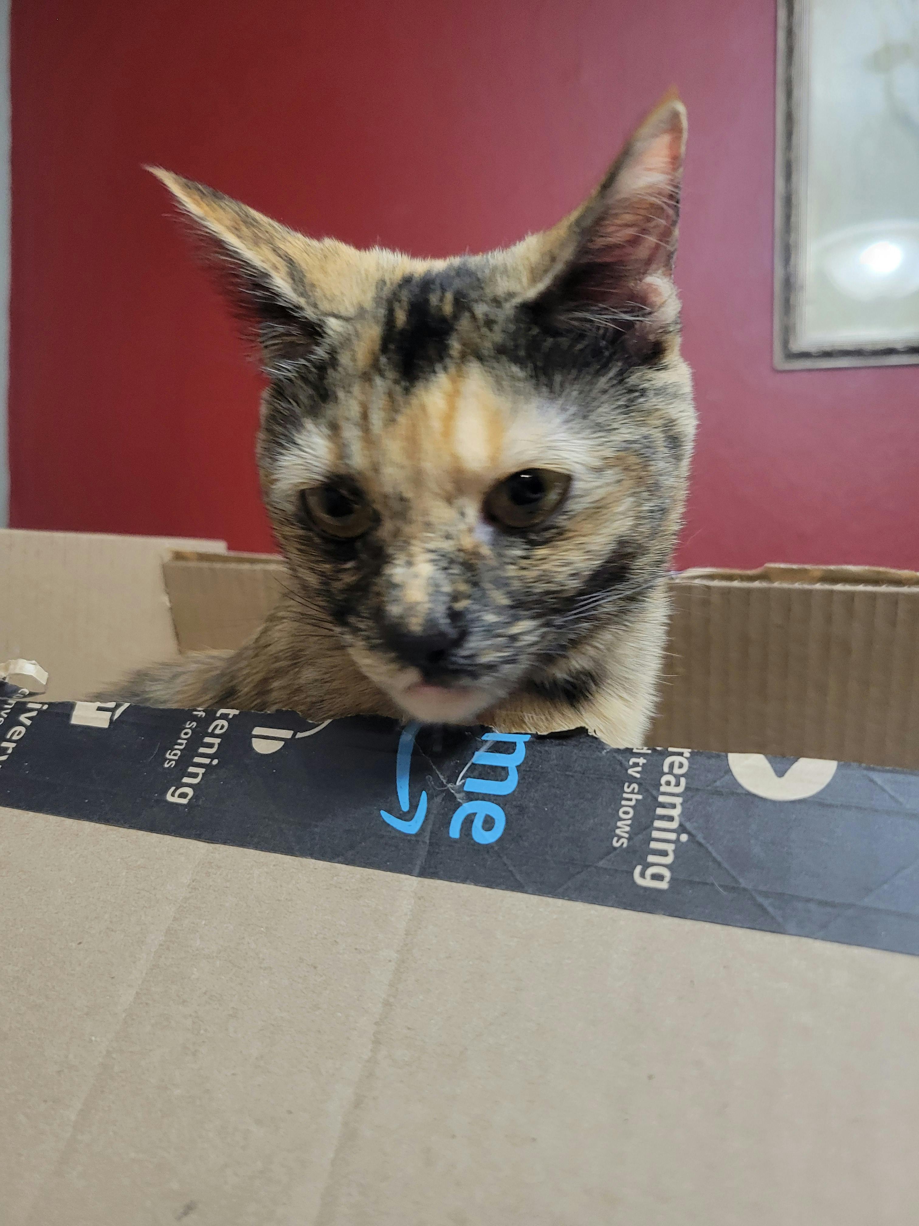 user avatar image for Carly