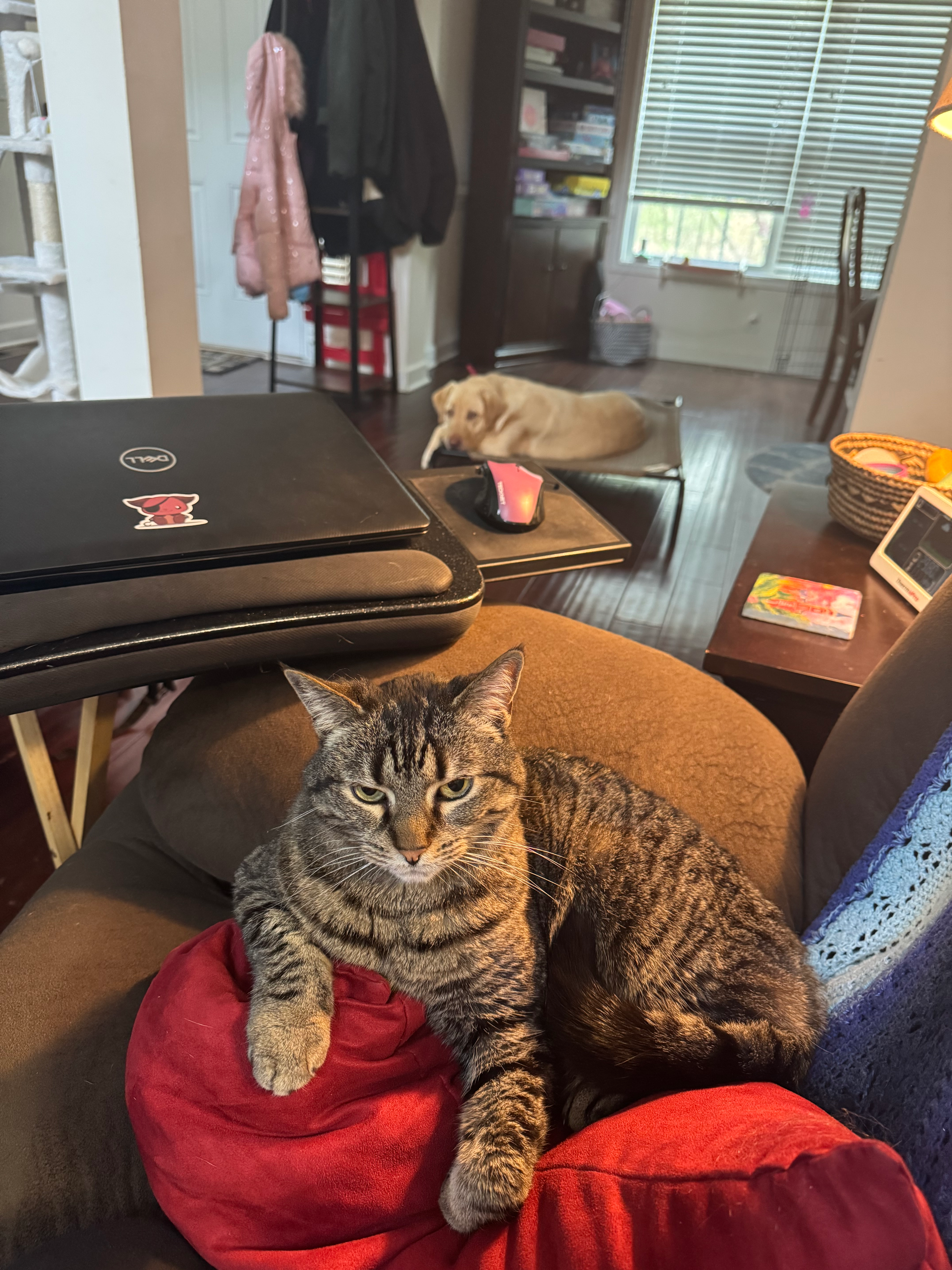 user avatar image for Mary Beth Bigham