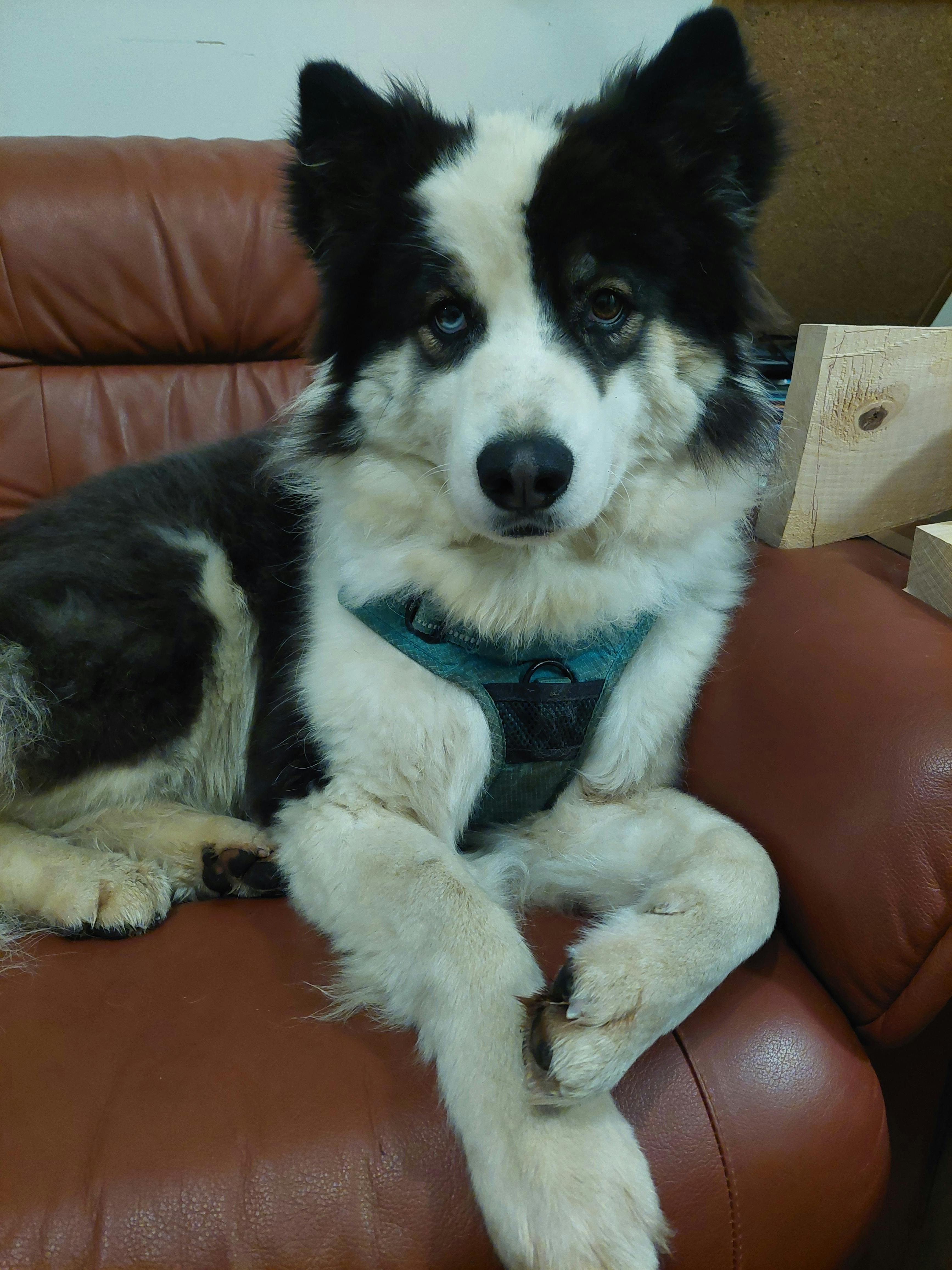 user avatar image for 0cel0t