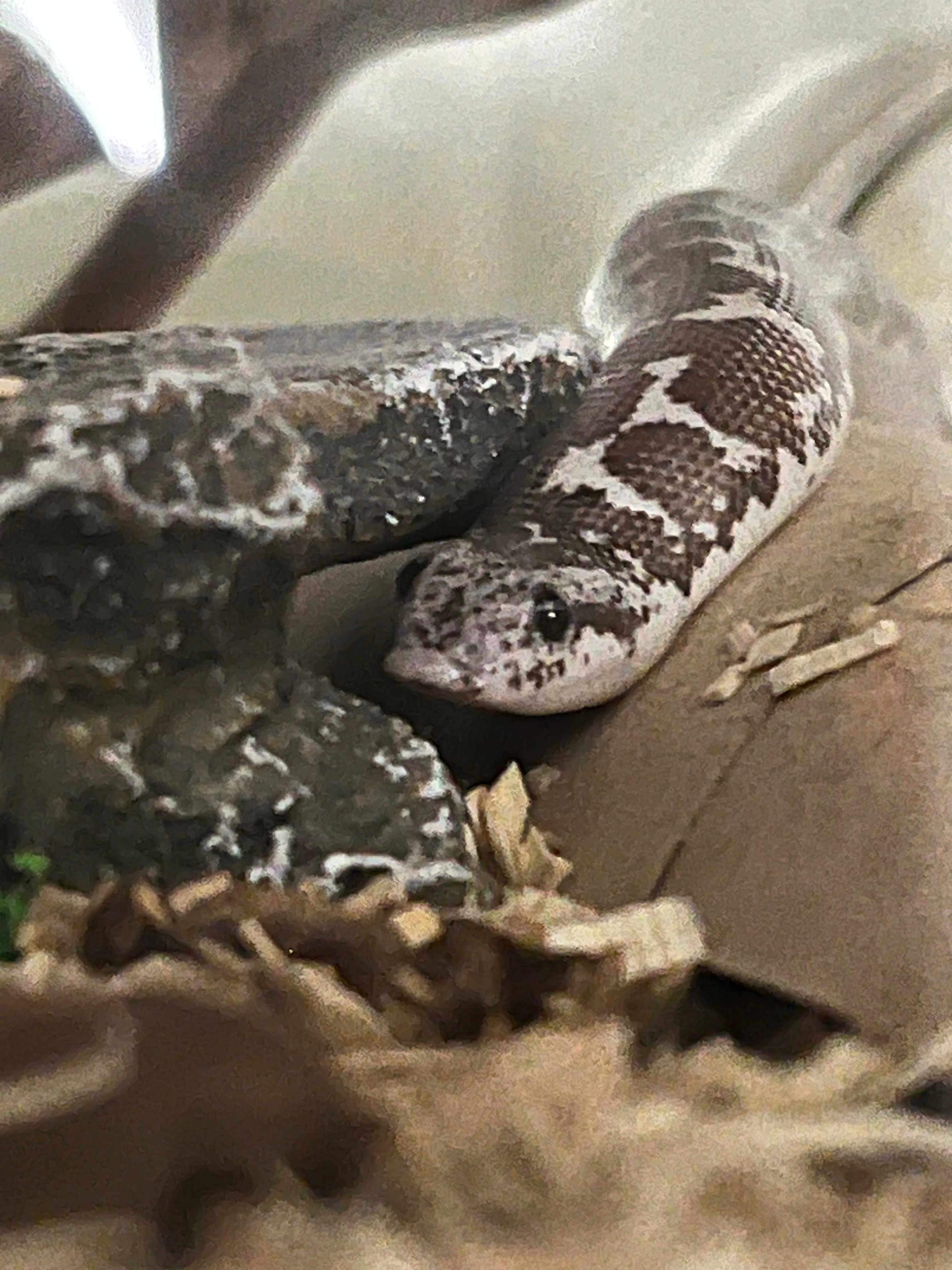 user avatar image for Vikki