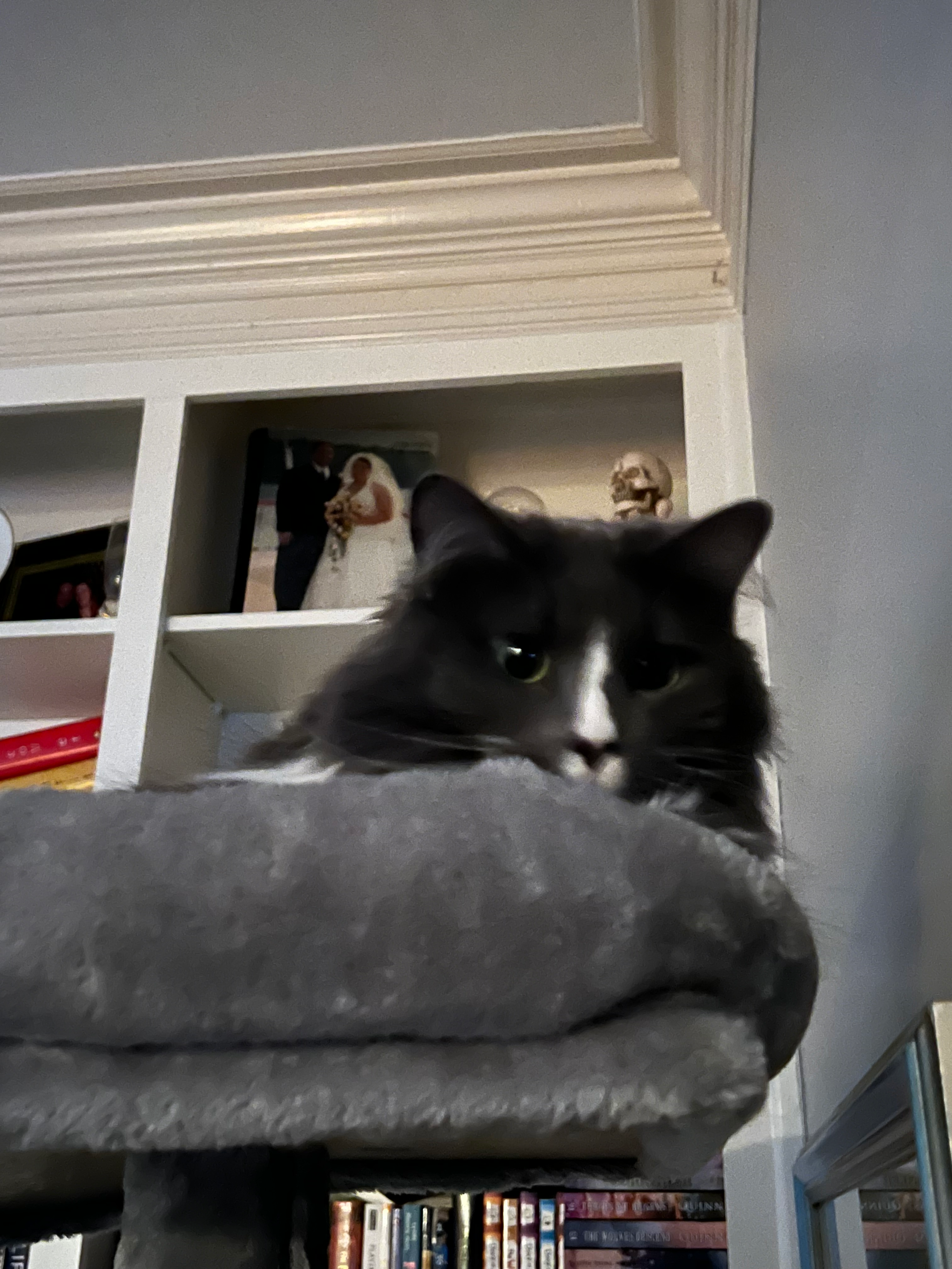 user avatar image for alex