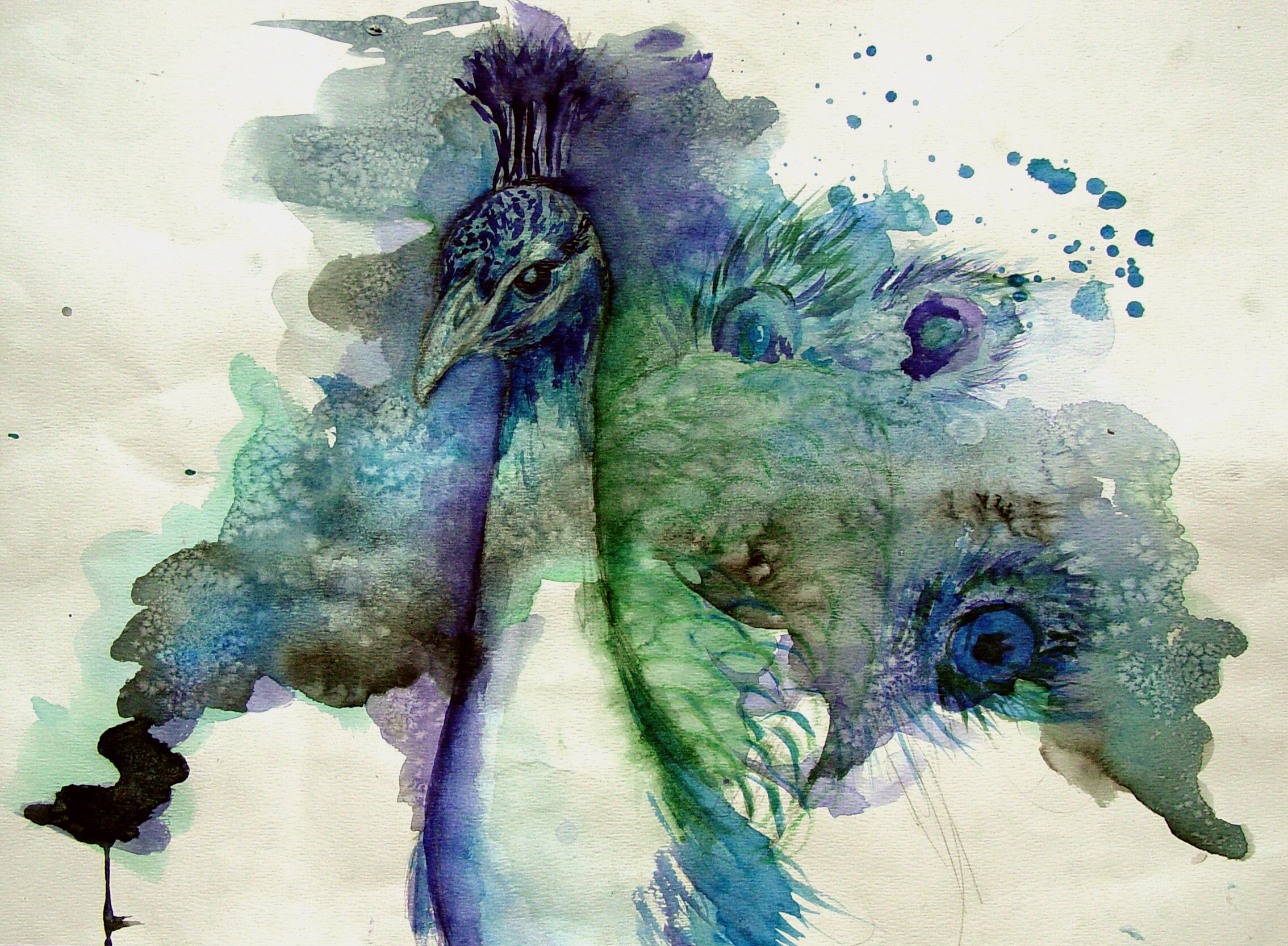 user avatar image for Jenntiz