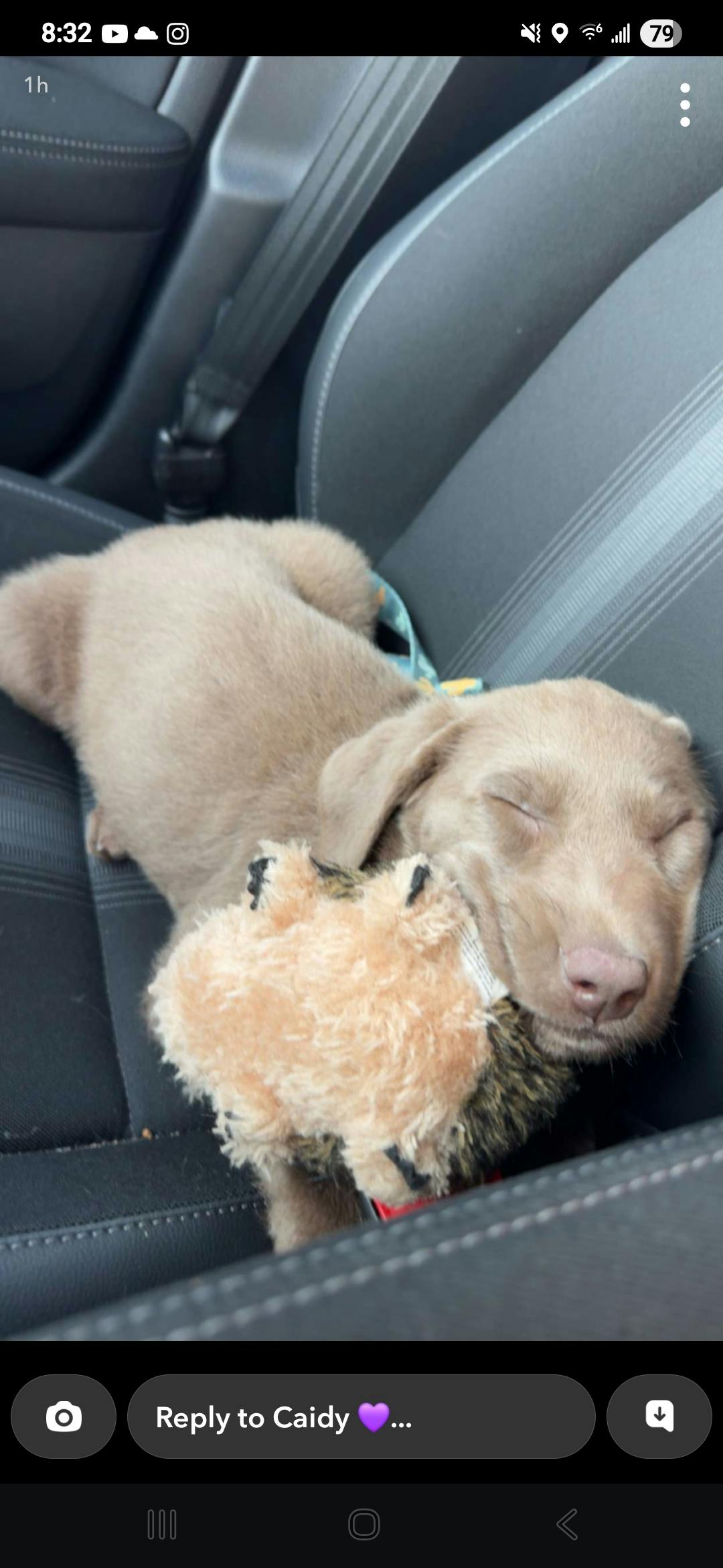 user avatar image for JakeNE