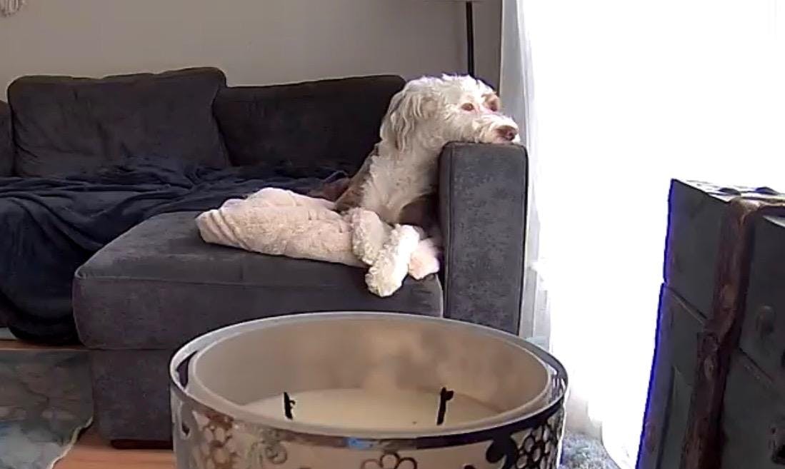 user avatar image for TORRANCE DINSMORE