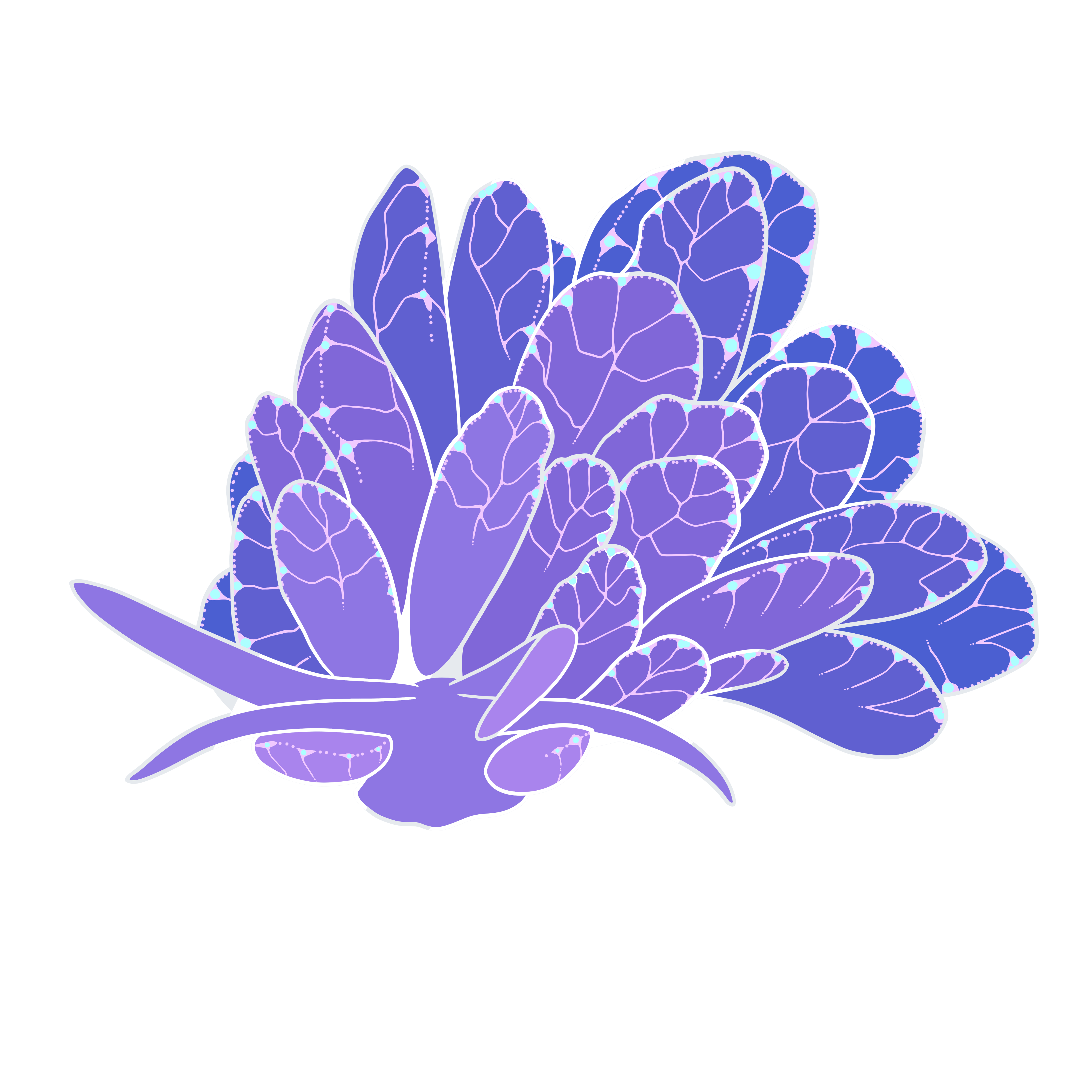 Cyerce Elegans Purple Pin	