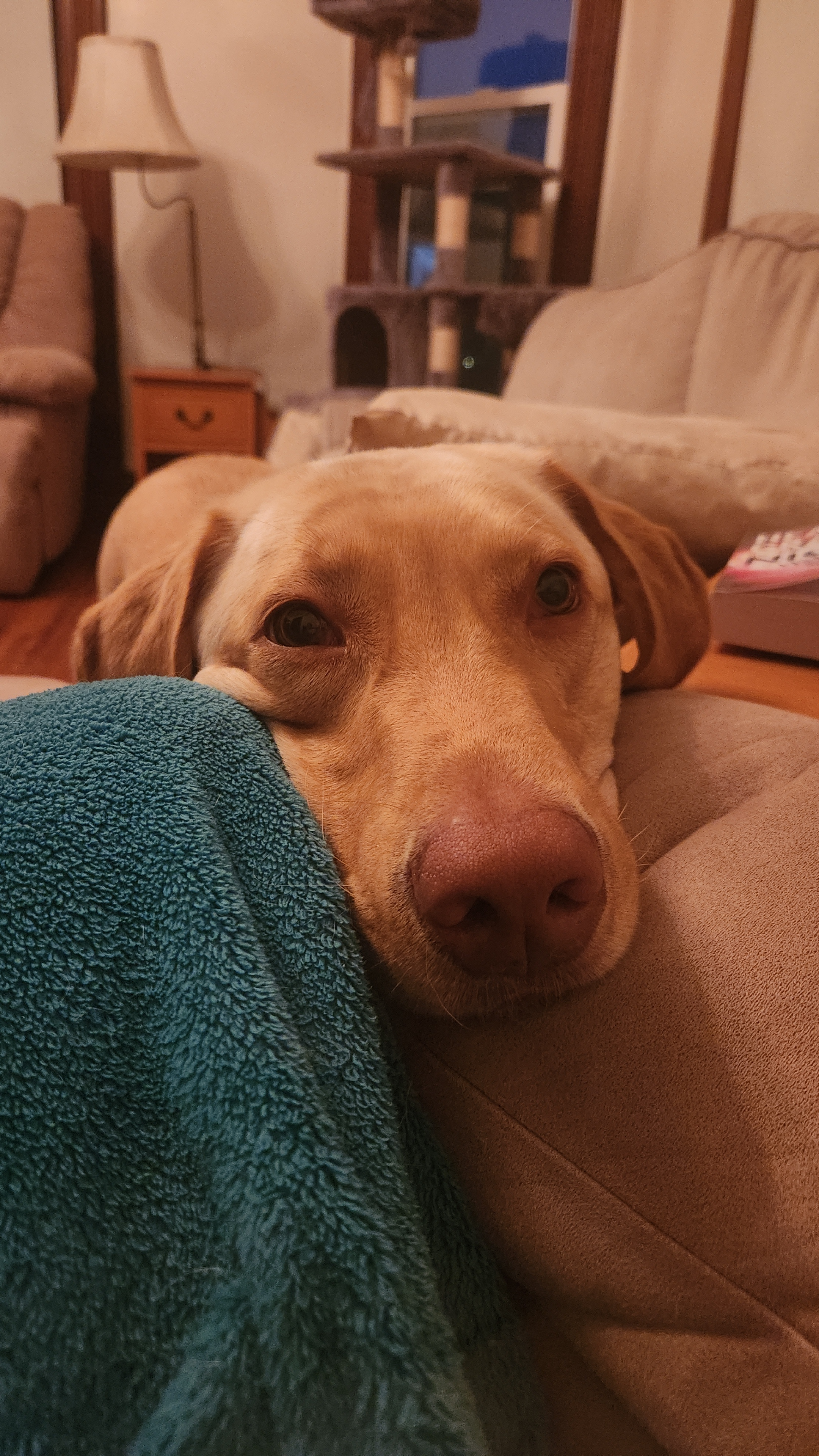 user avatar image for Sami Burkhart