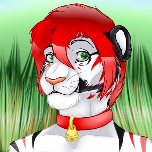 user avatar image for Jakub 'Kotyz' Šén