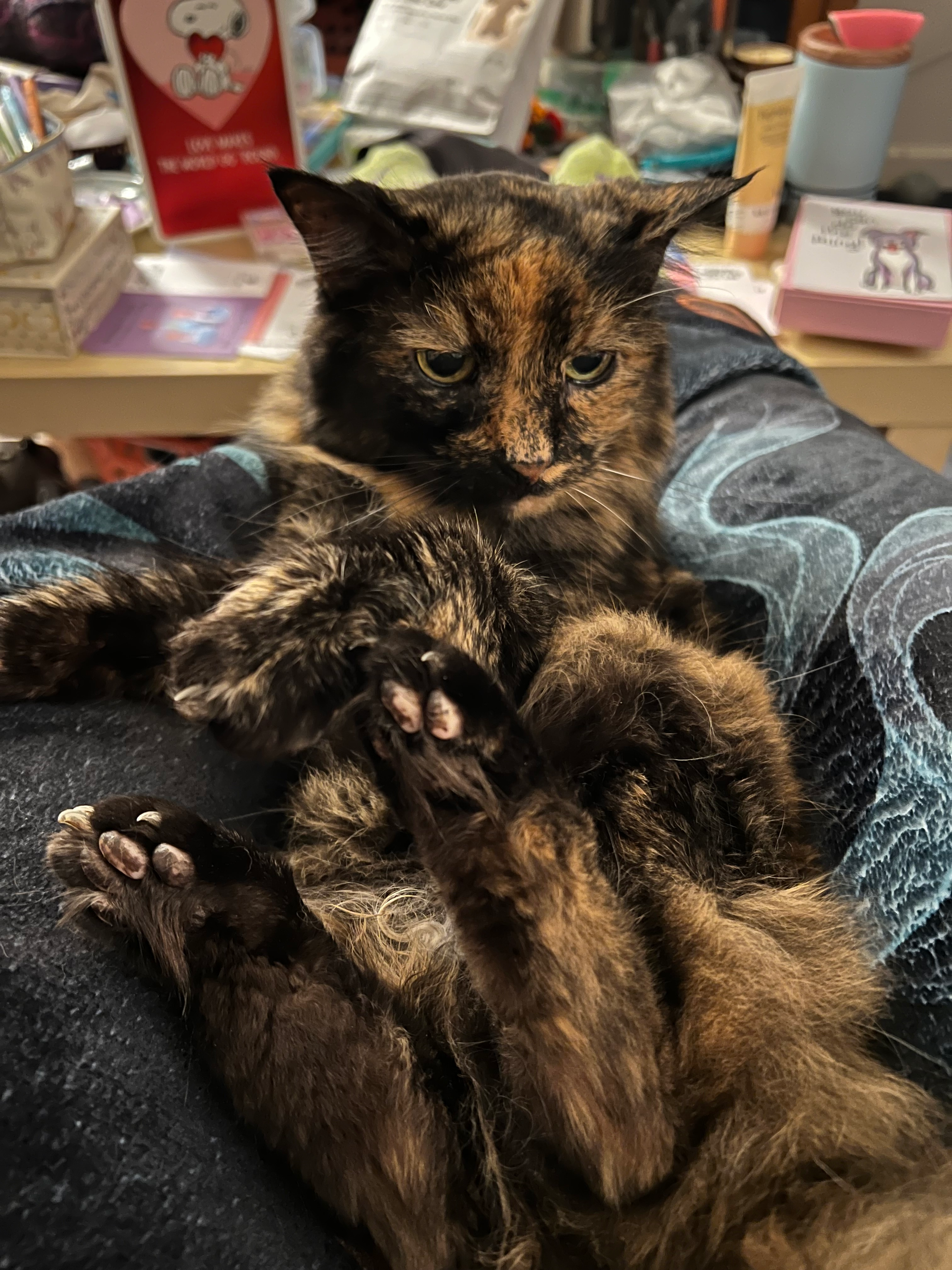 user avatar image for Rebecca