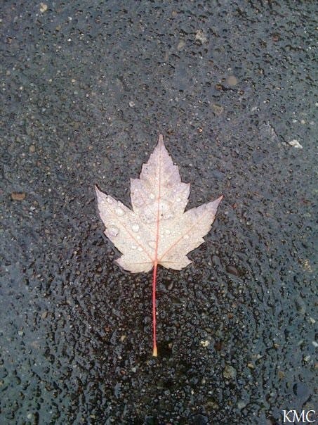 user avatar image for Kristin Clawson