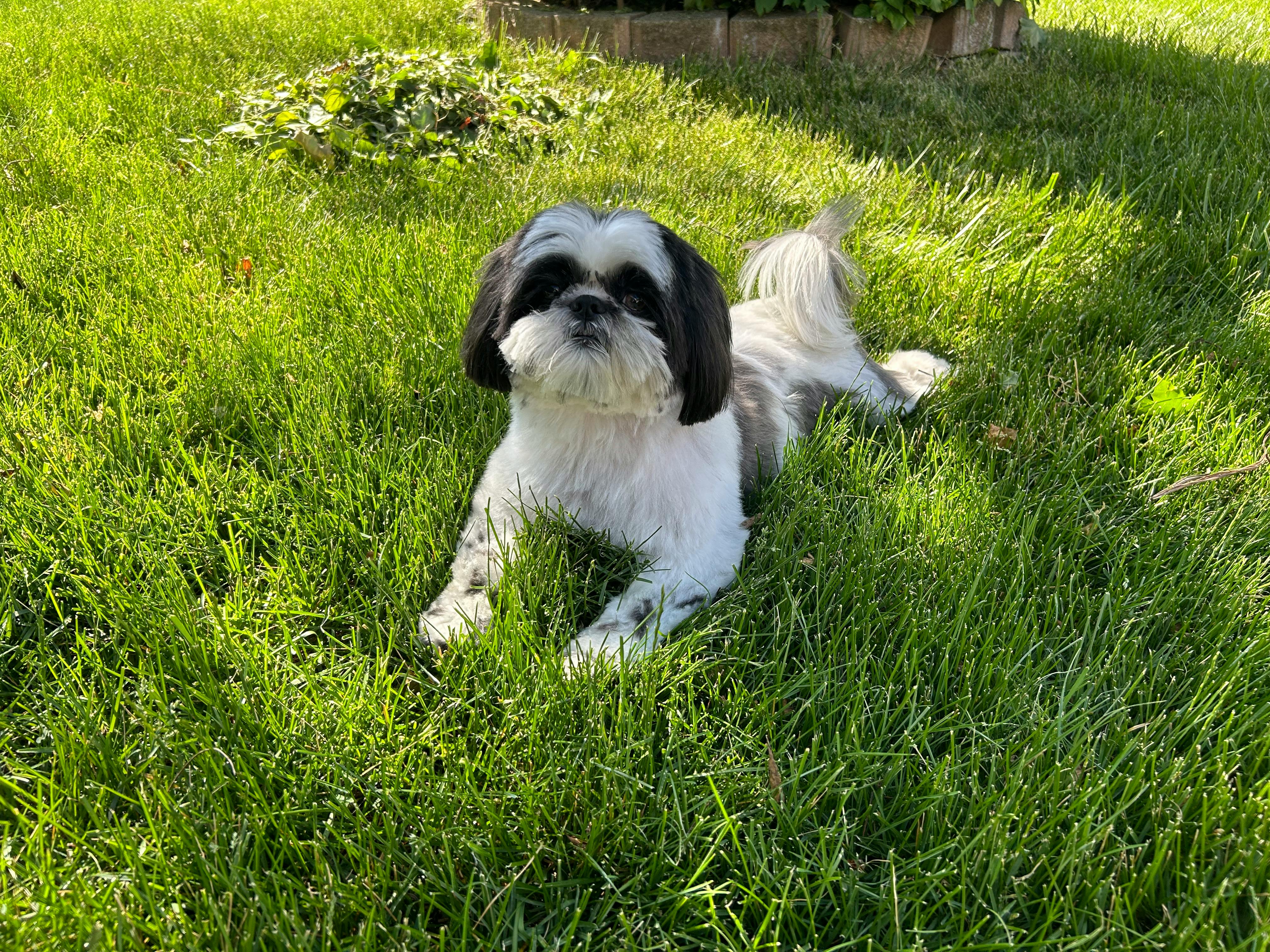 user avatar image for Rachel G.