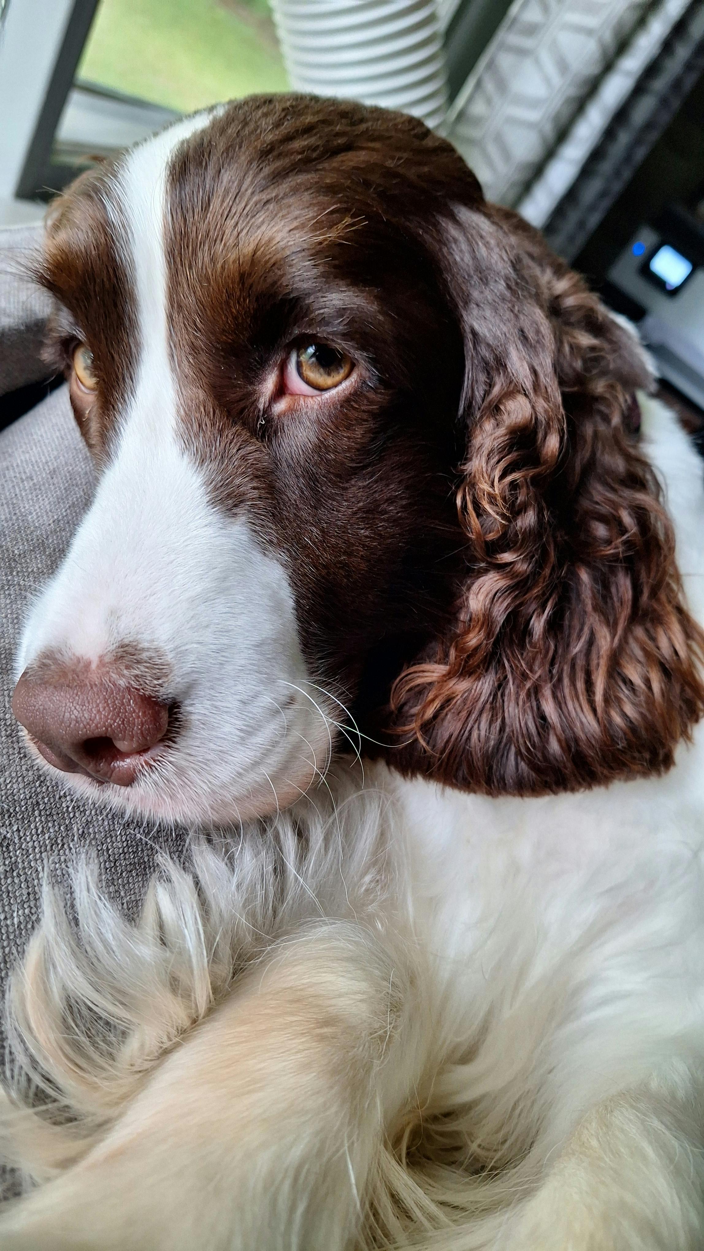 user avatar image for Dave Saunders