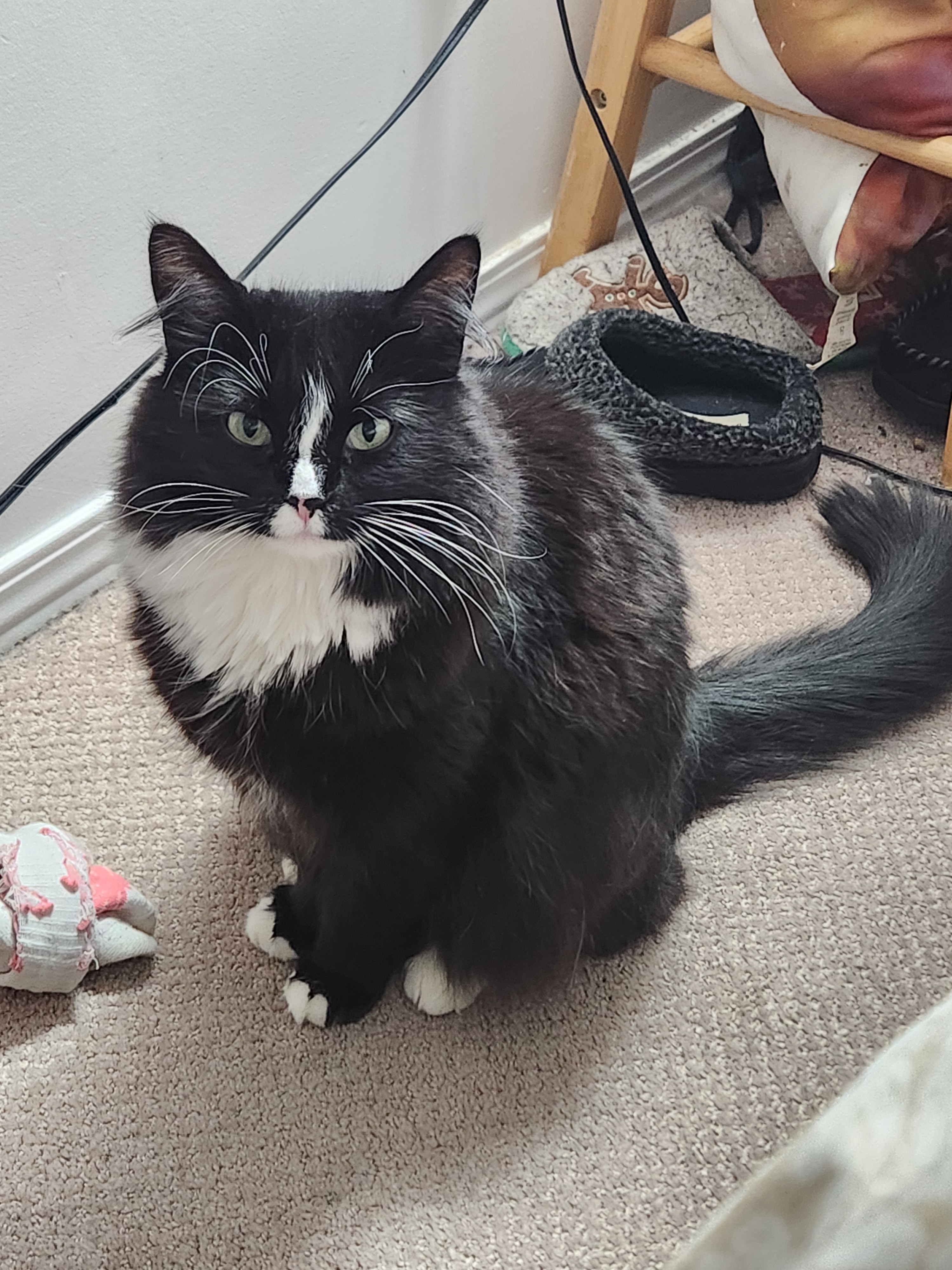 user avatar image for Raye