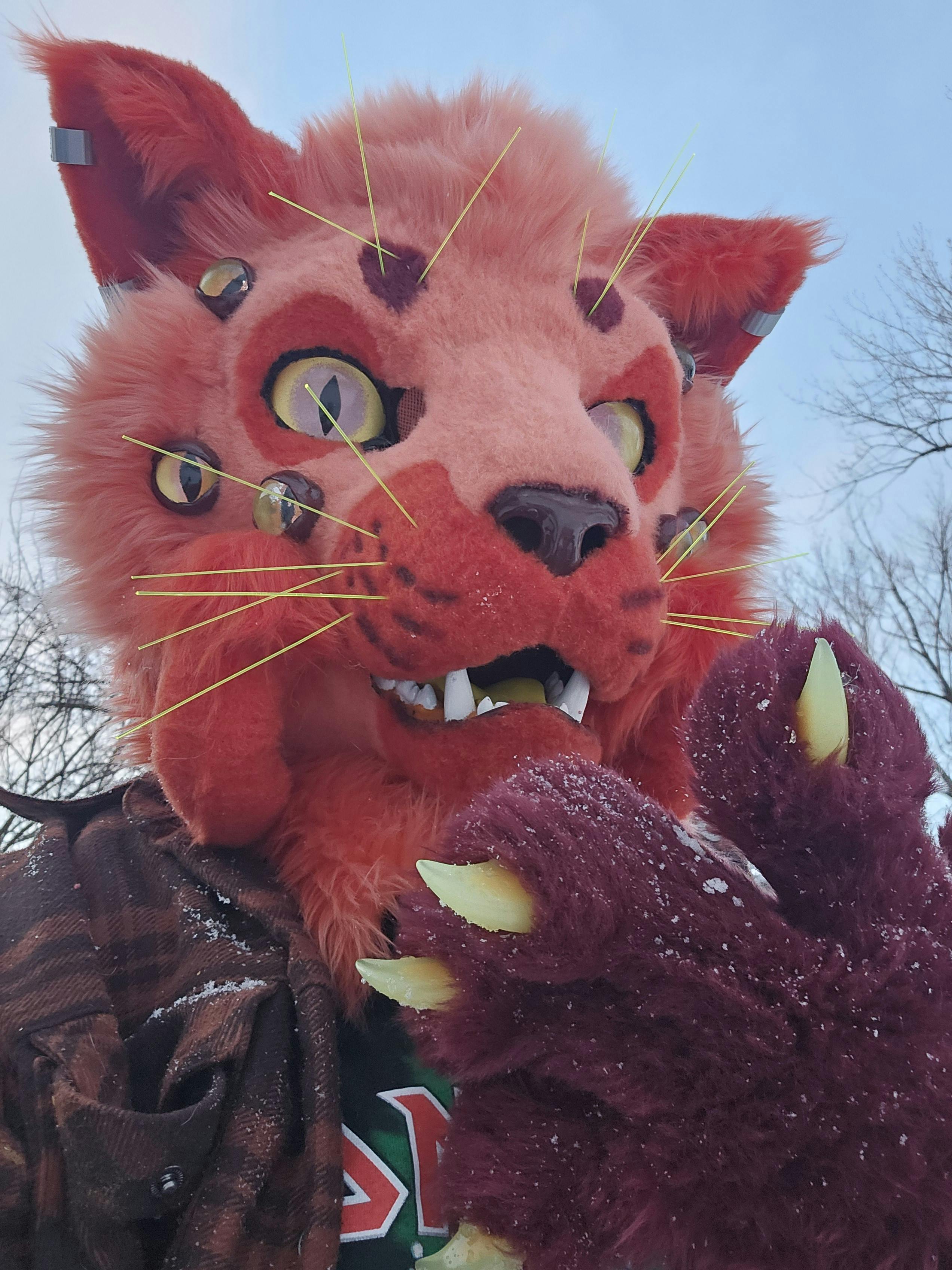 user avatar image for CRT_CRYPTID