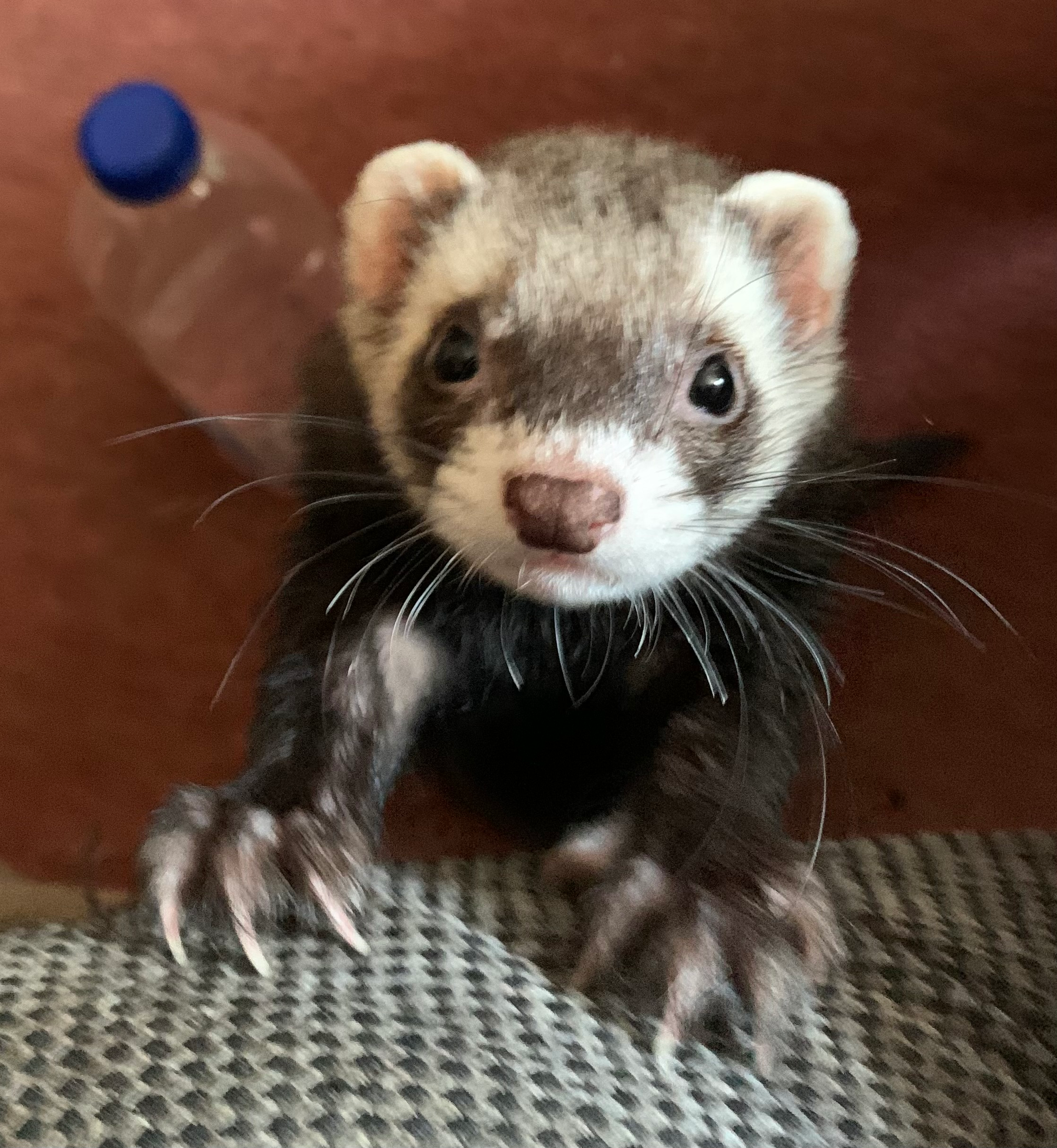 user avatar image for Philip Black