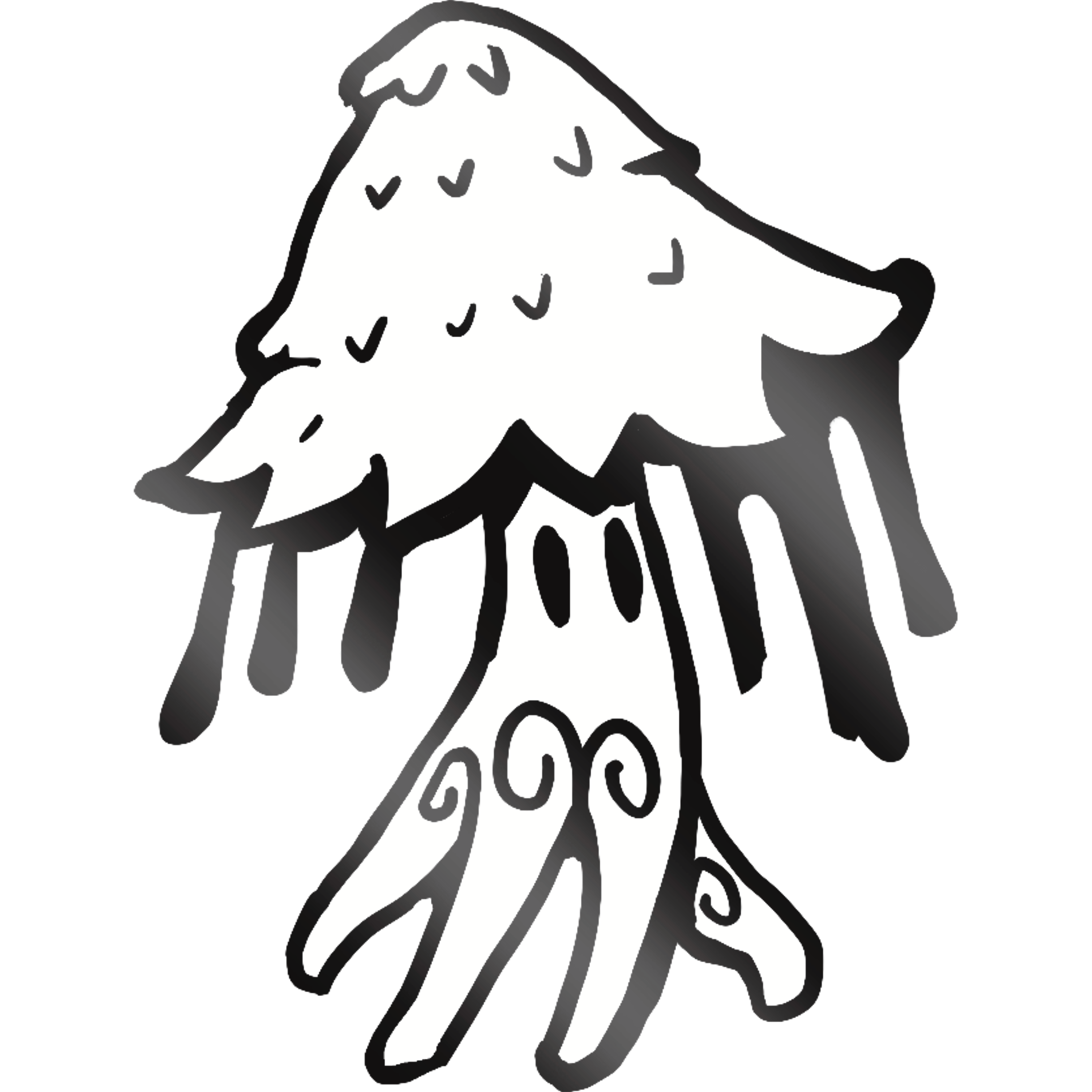 Shaggy Mane