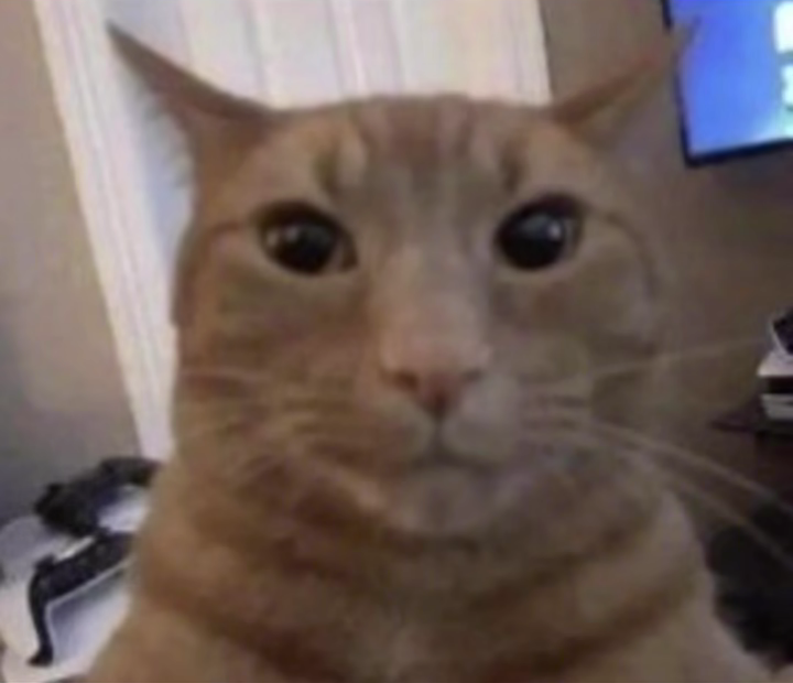 user avatar image for Jery Peanits