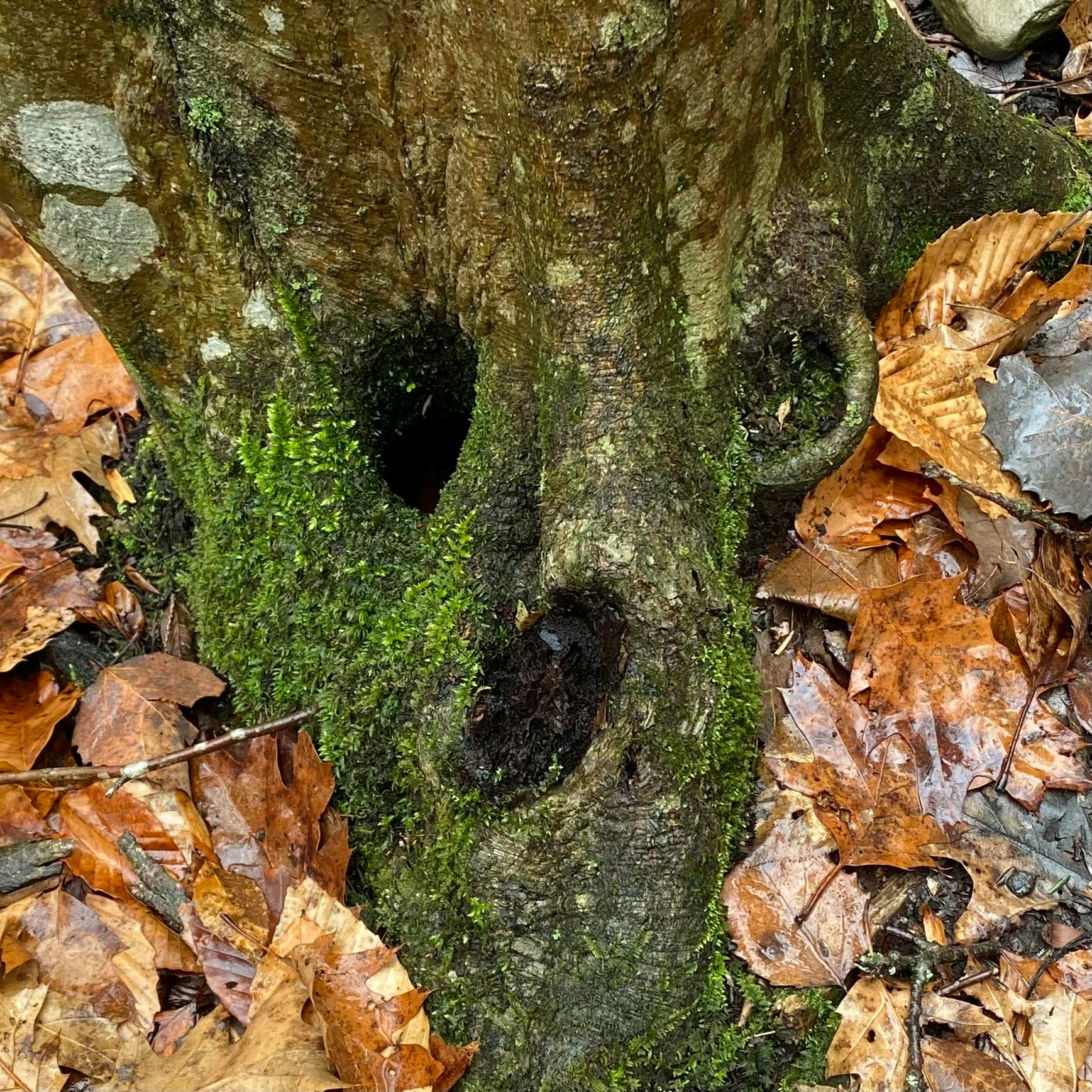 user avatar image for Nathan Andrew