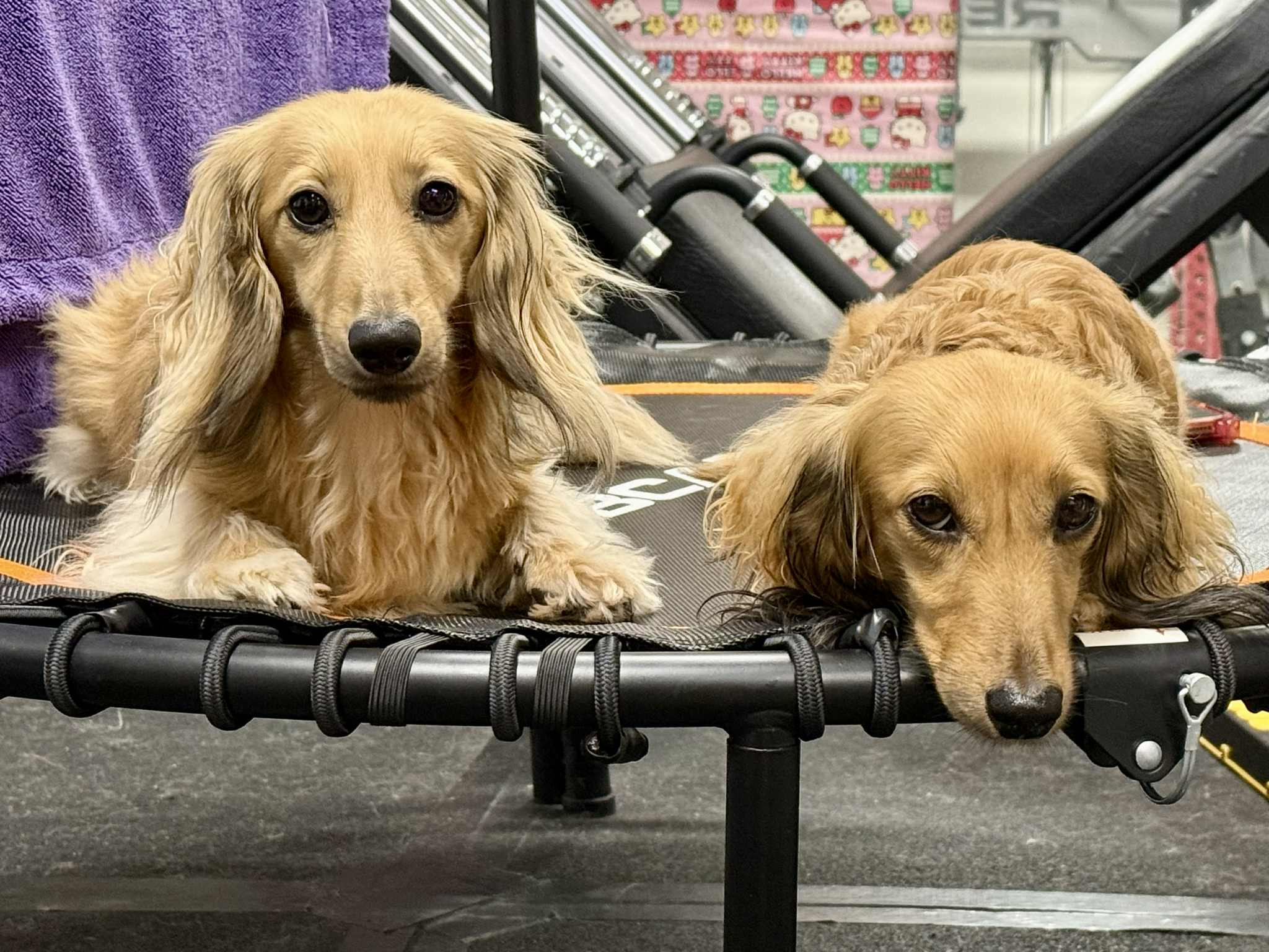 user avatar image for Sonja