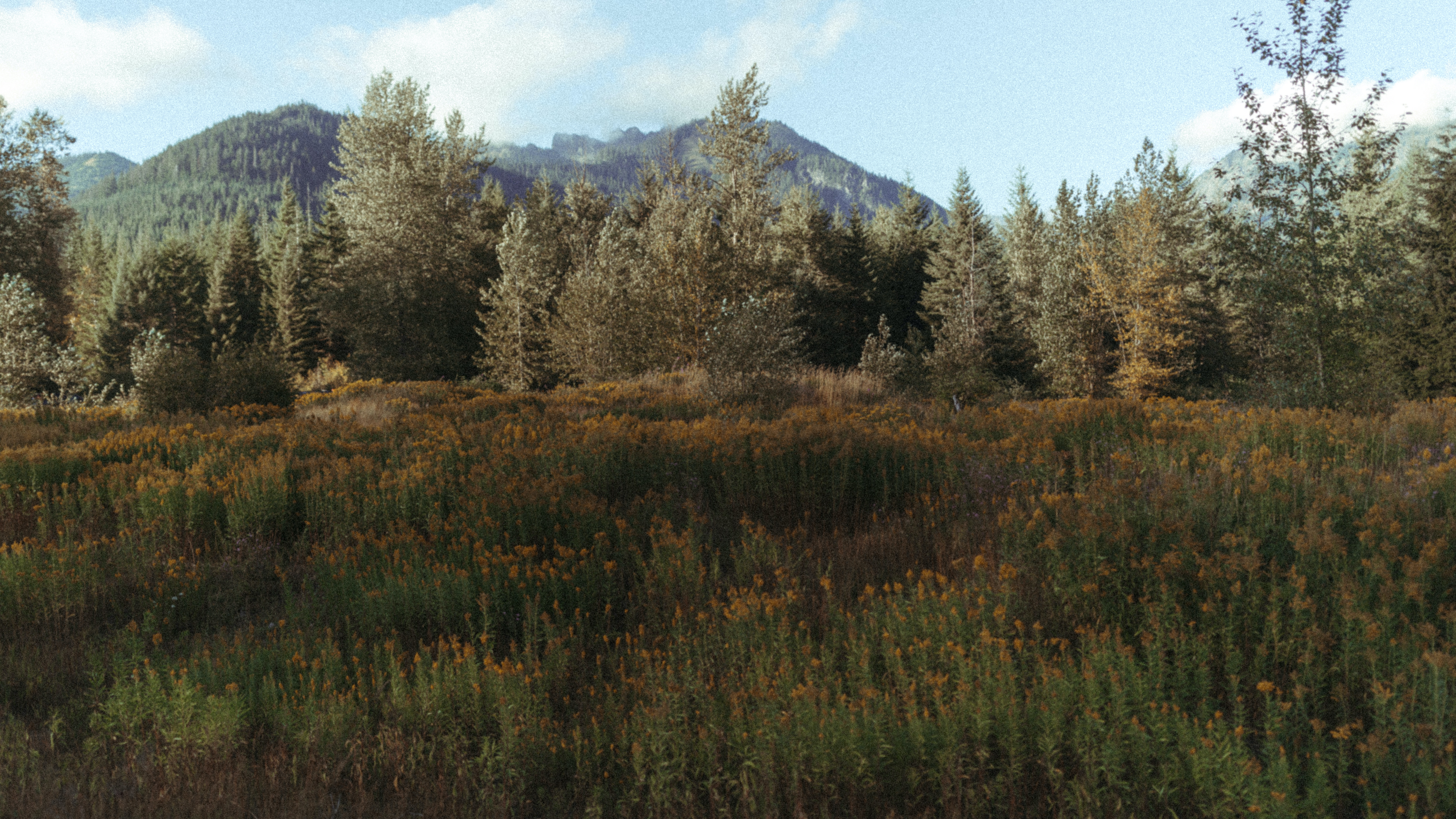 user avatar image for Zach Christensen