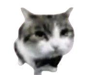 user avatar image for Fexp
