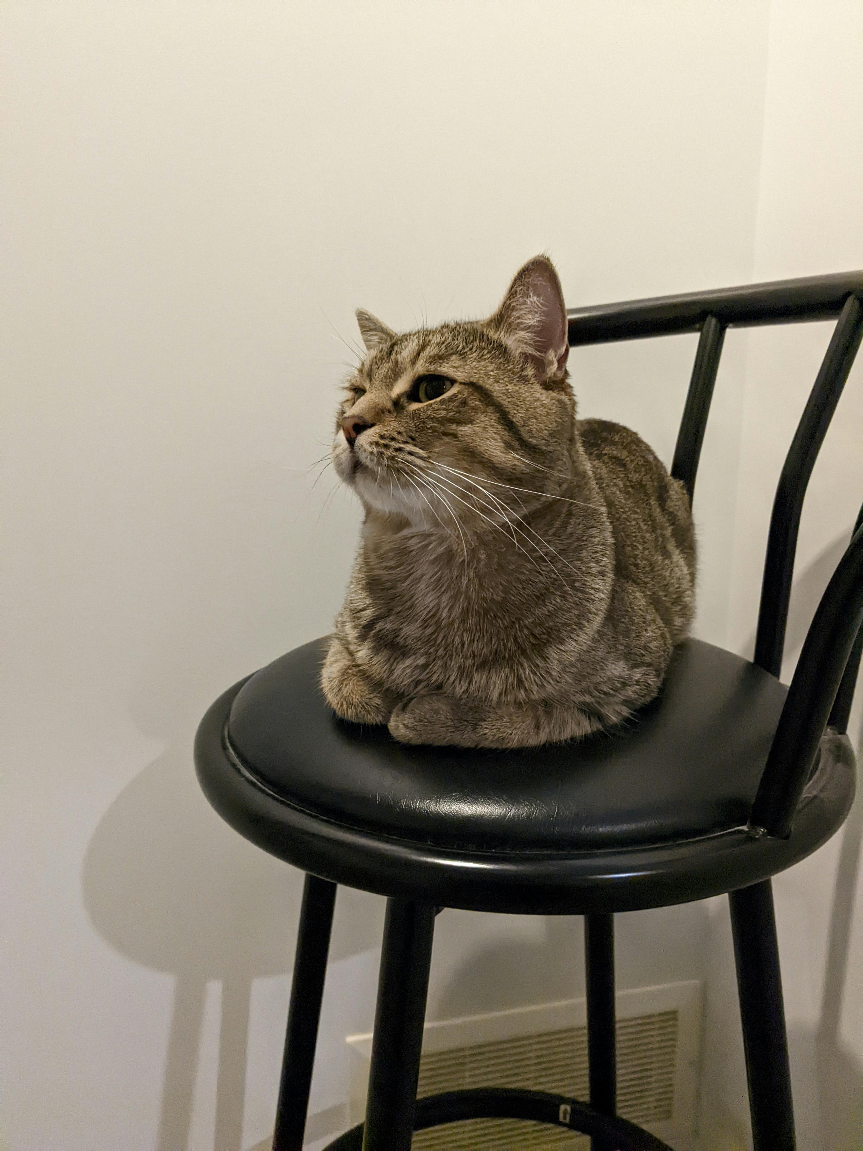 user avatar image for N