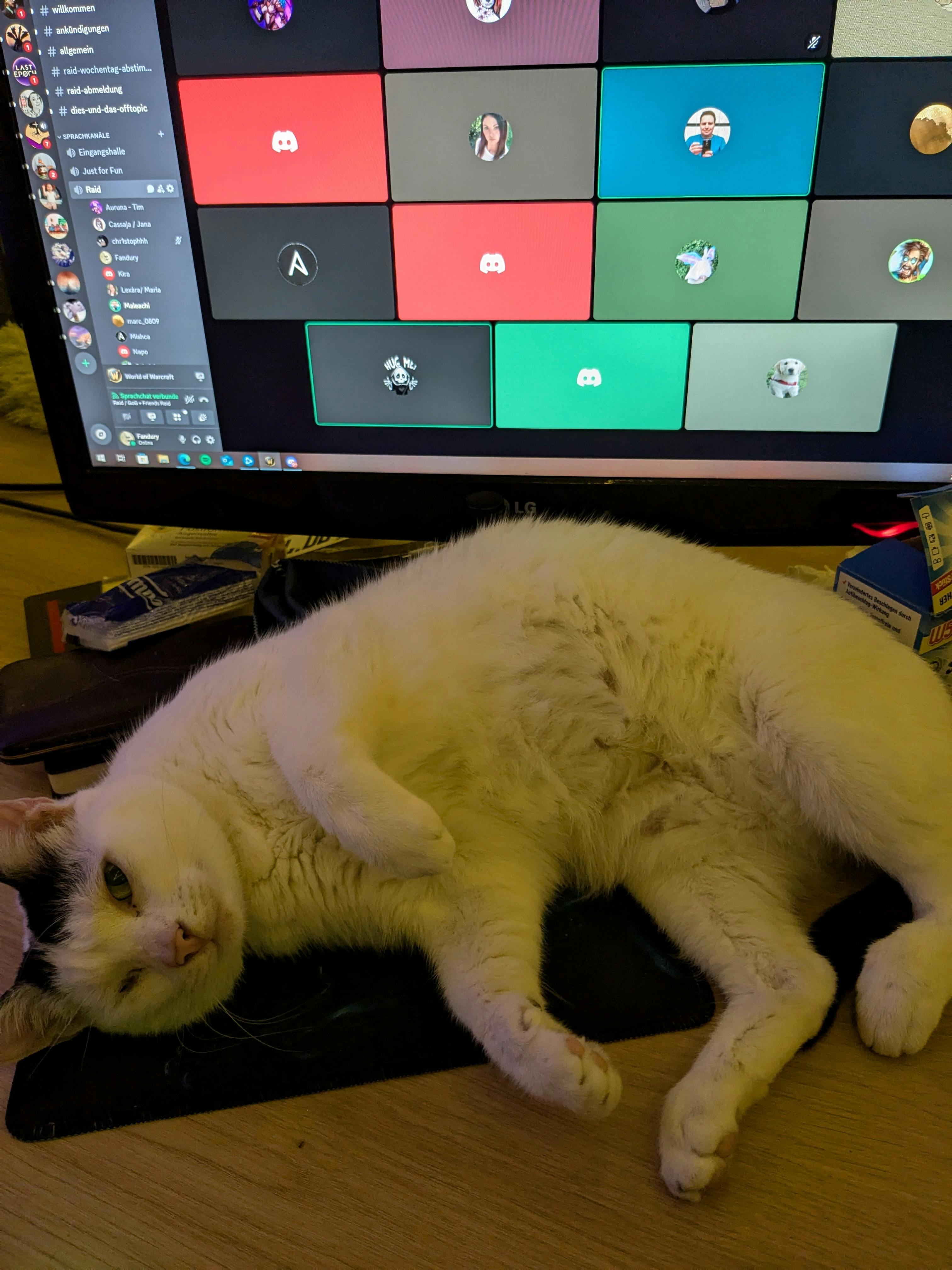 user avatar image for Jasmin Lexy