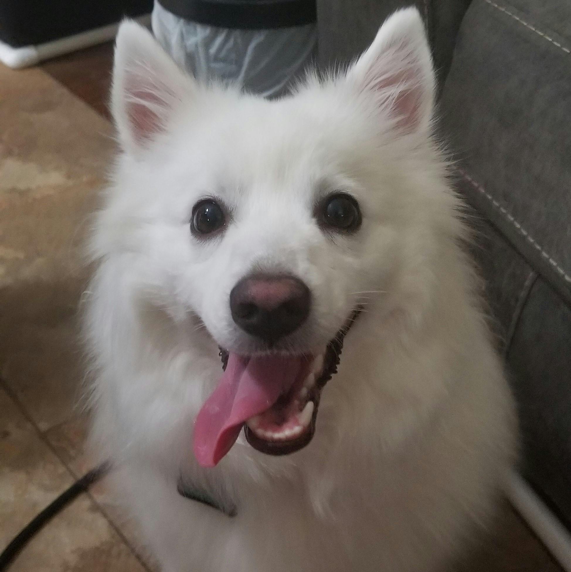 user avatar image for Paul Elliott