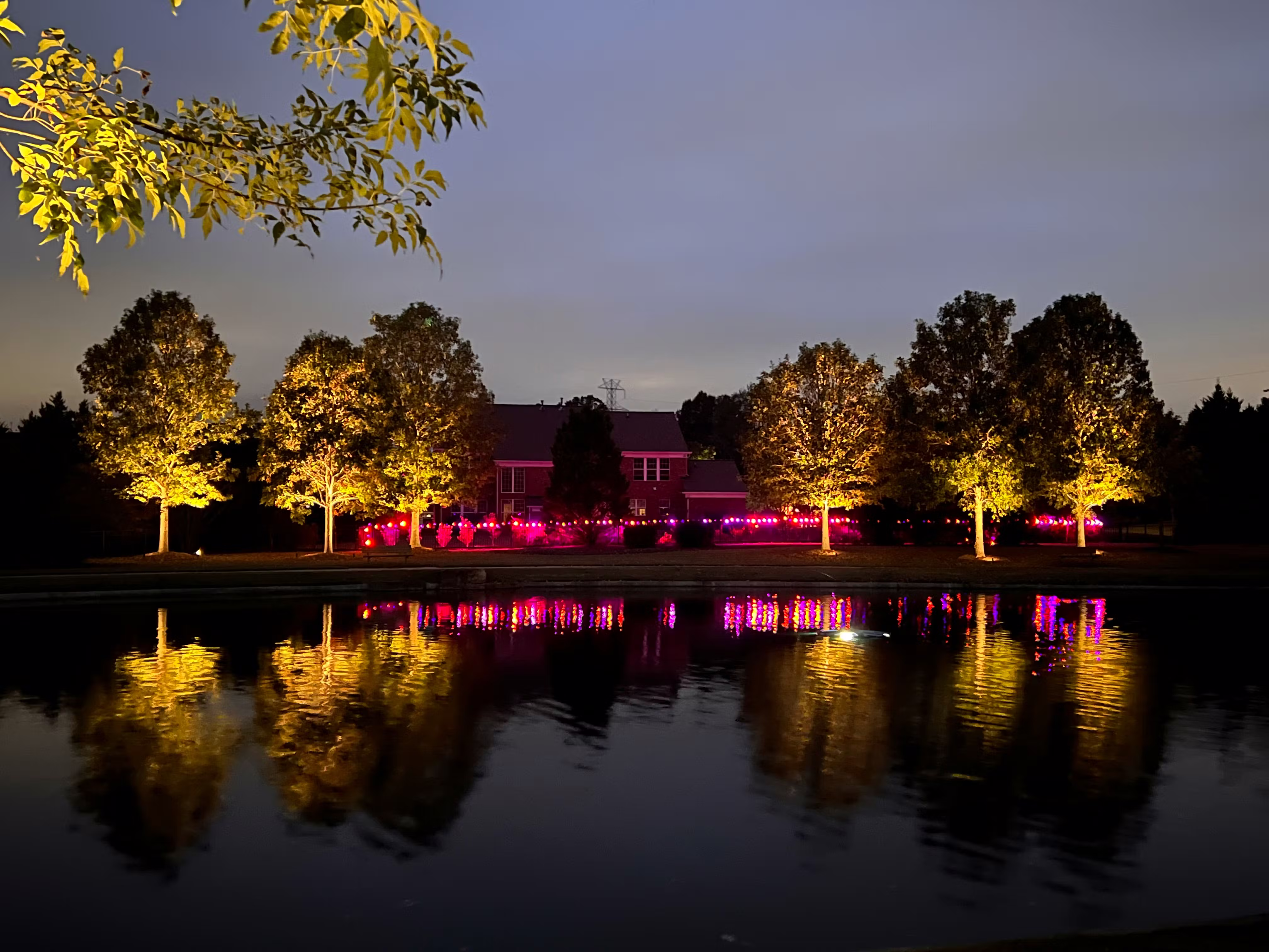 user avatar image for Summer Applebaum