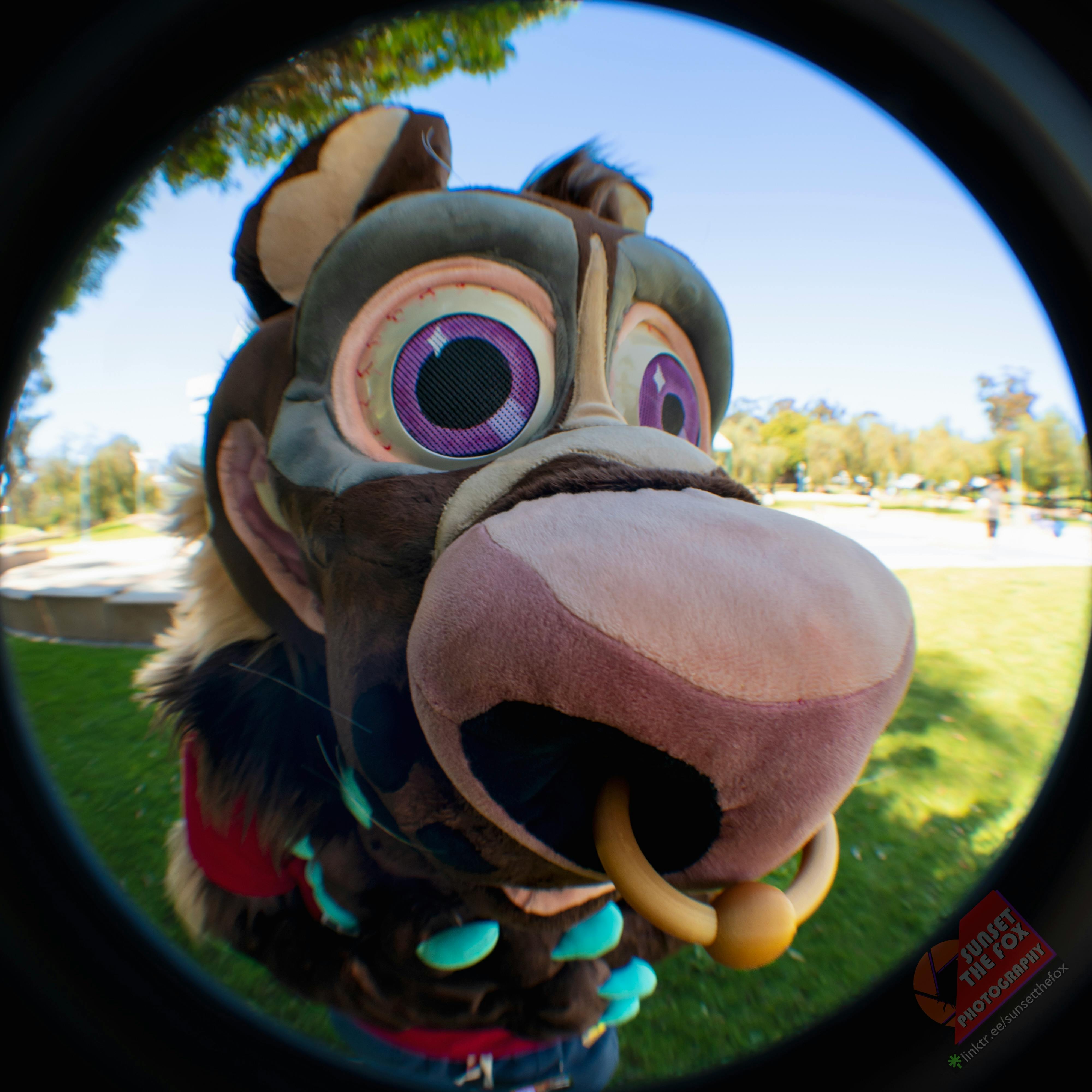 user avatar image for Shay