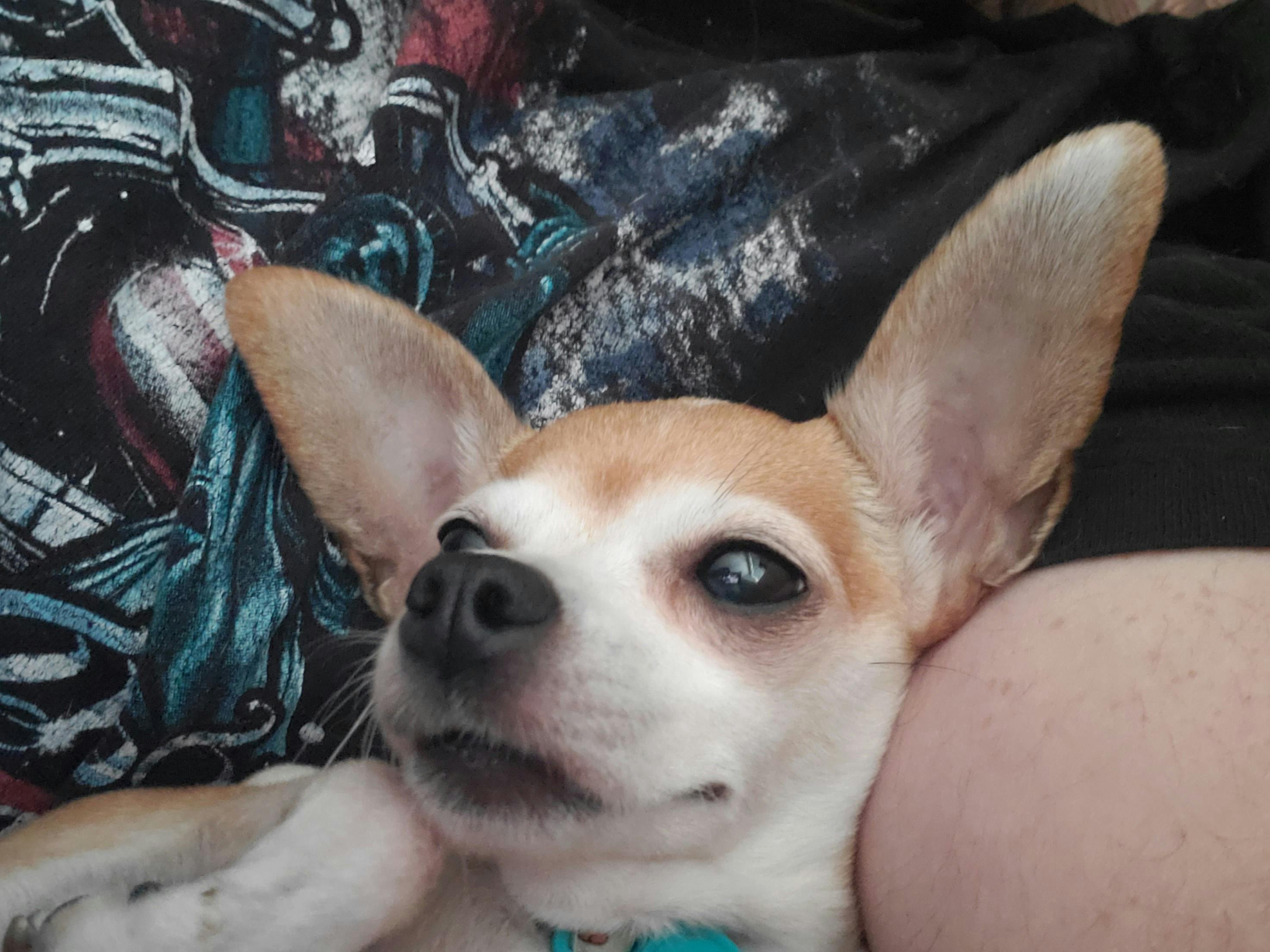 user avatar image for Sqoody7