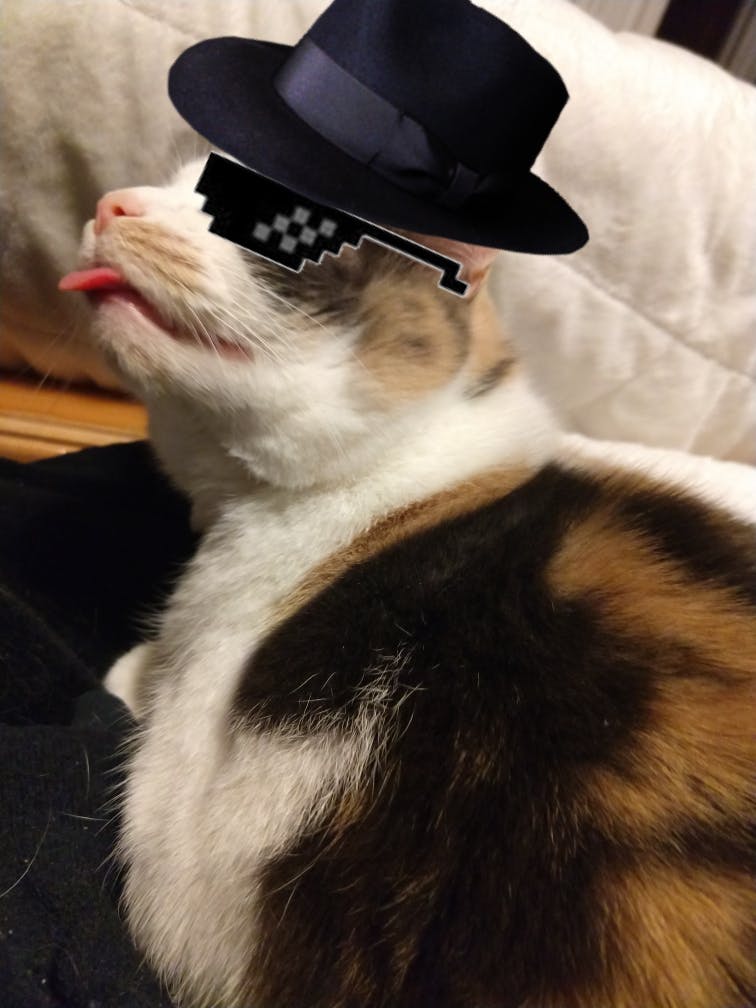 user avatar image for ginger gladstone 