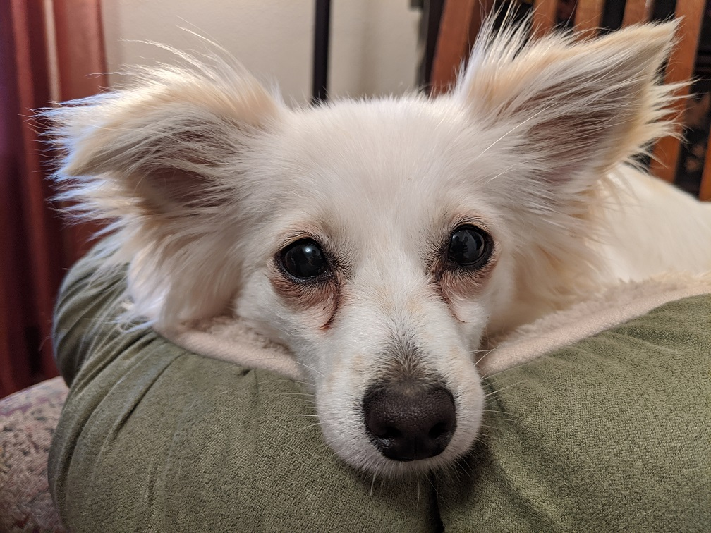 user avatar image for Deimo62