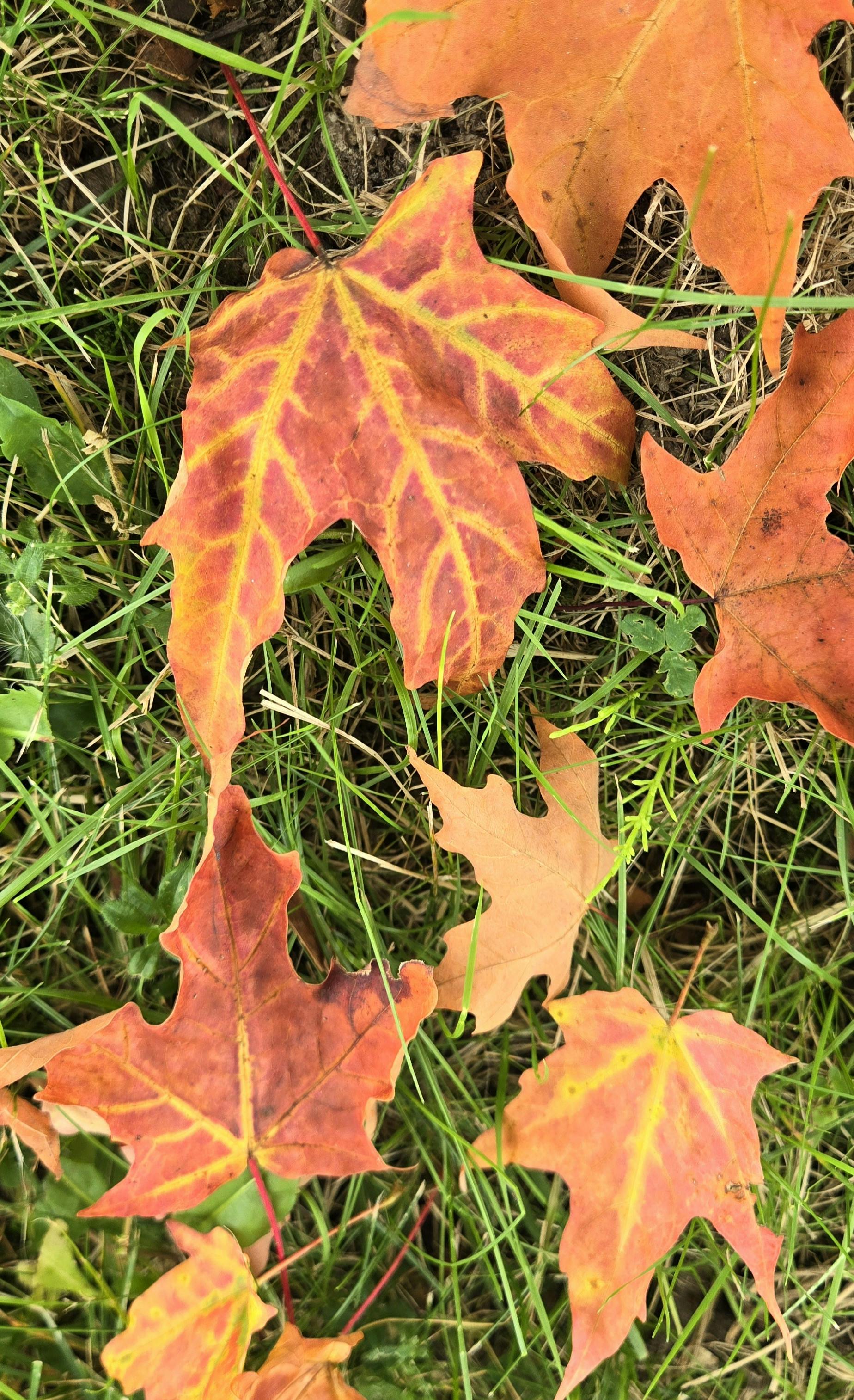 user avatar image for Kari S.