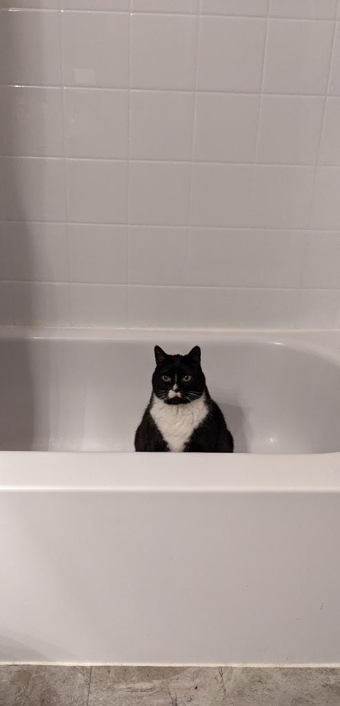 user avatar image for Seiki Magbuhat