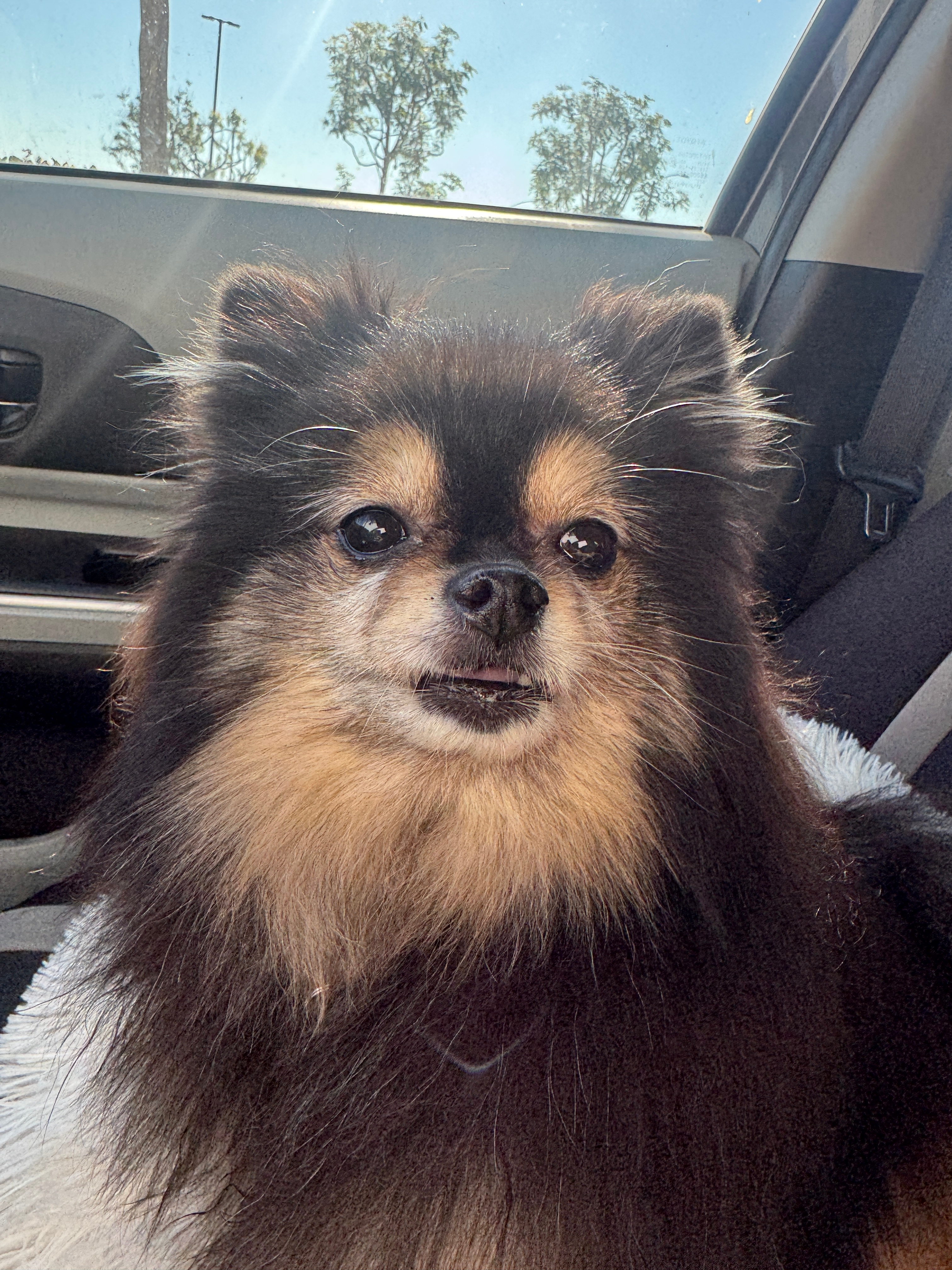 user avatar image for Maritza Denis