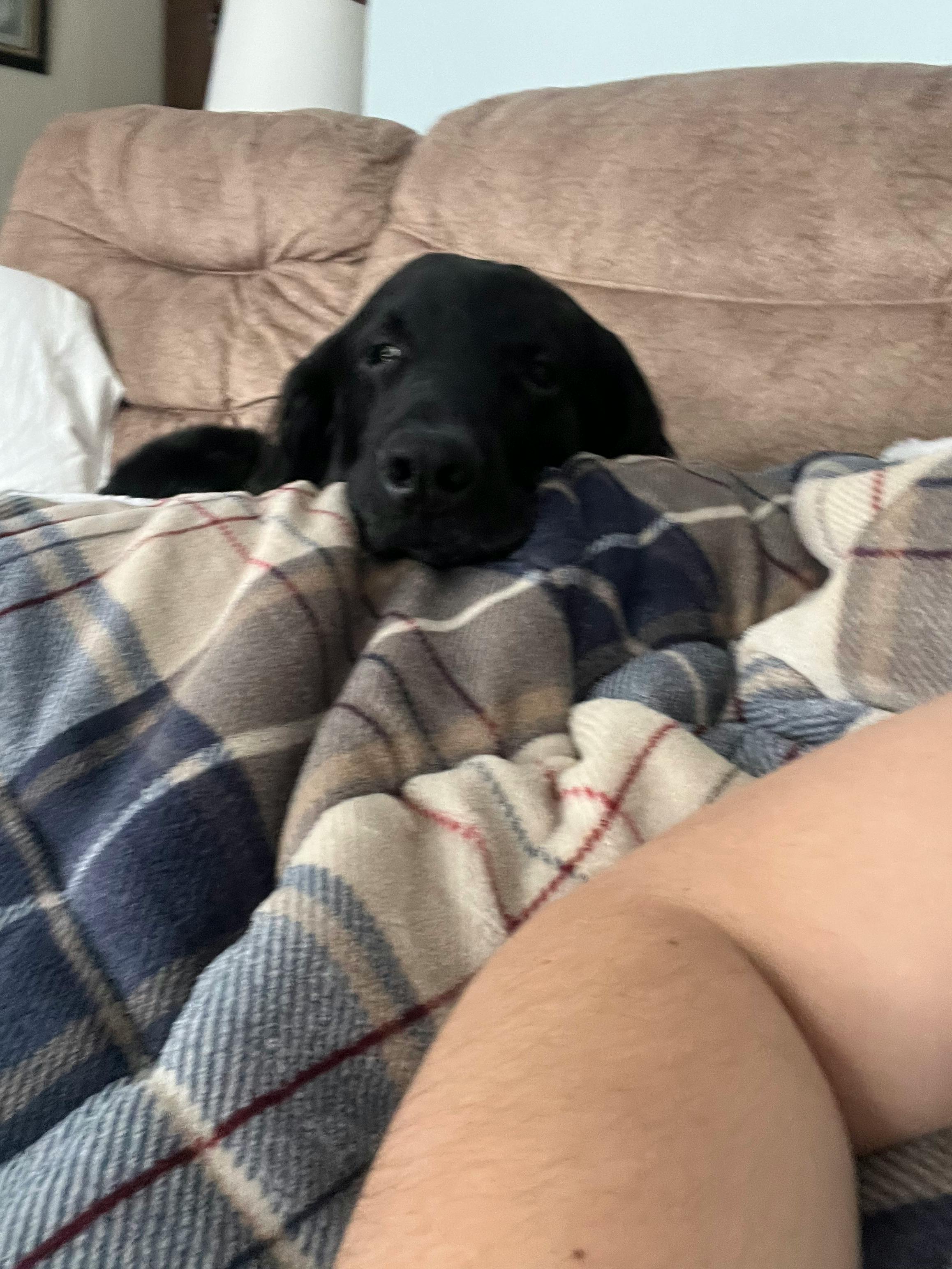 user avatar image for Flower