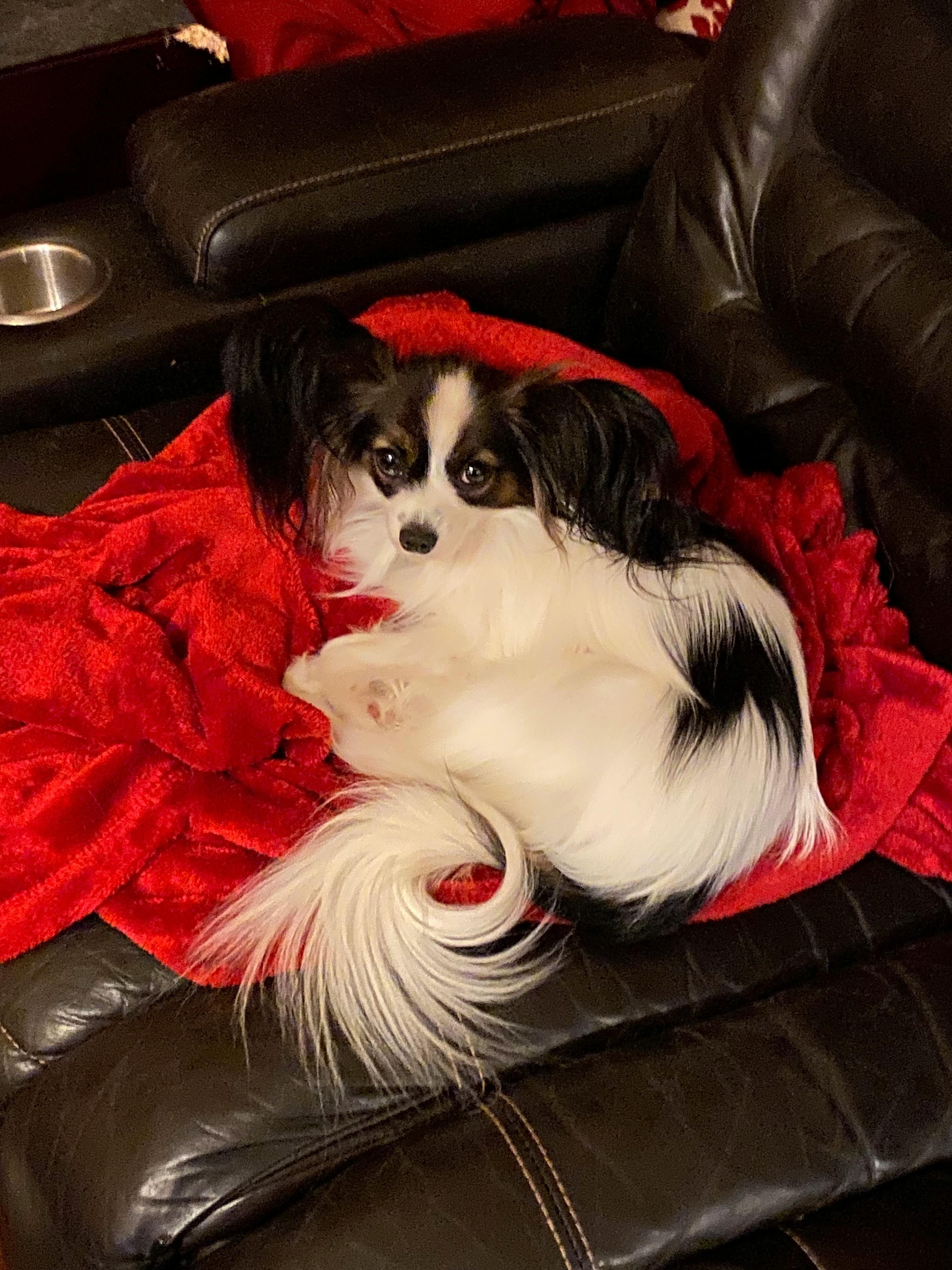 user avatar image for Brent