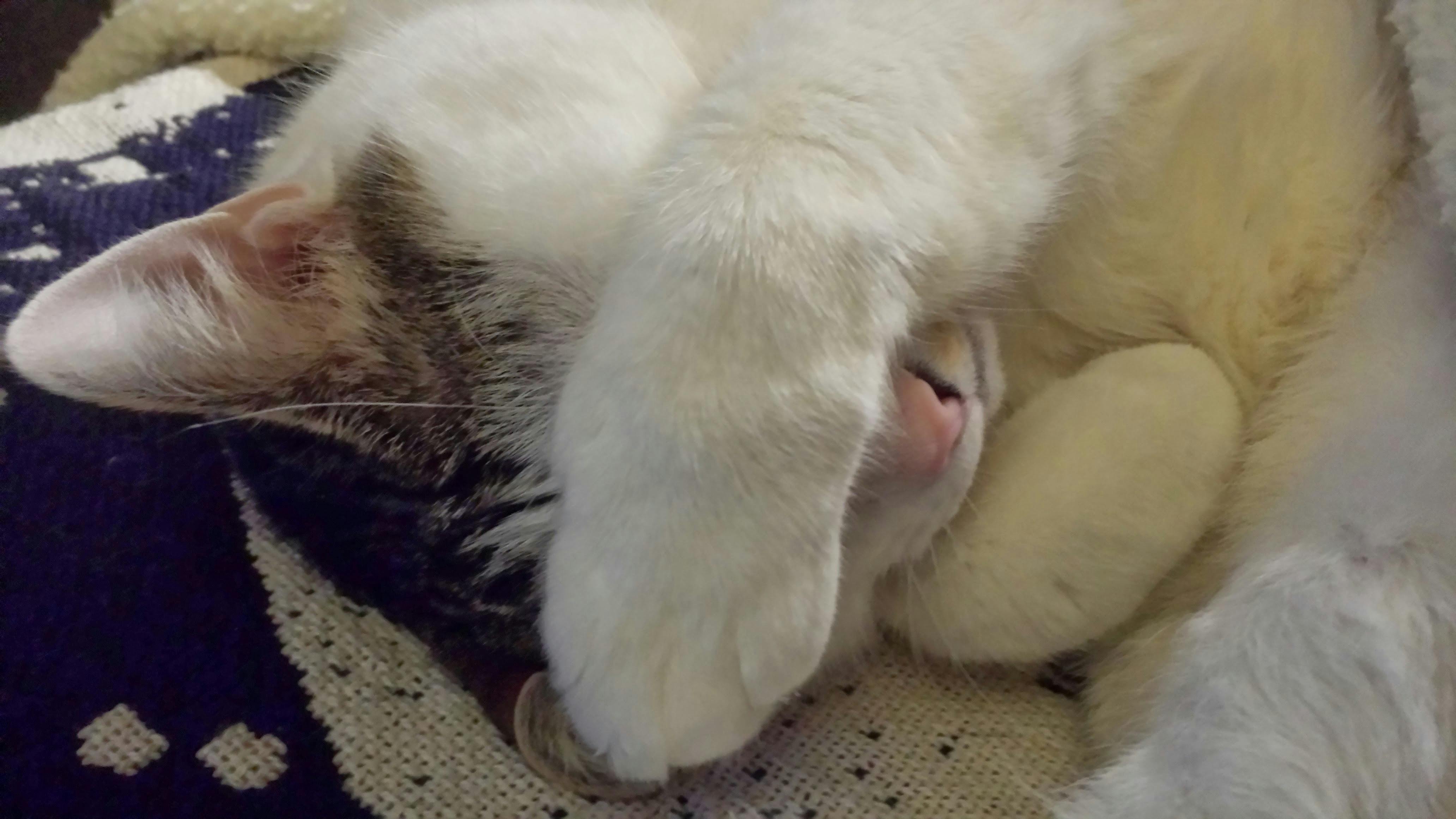 user avatar image for John Eddy