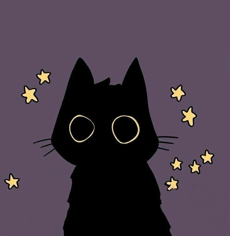 user avatar image for stellarKitty