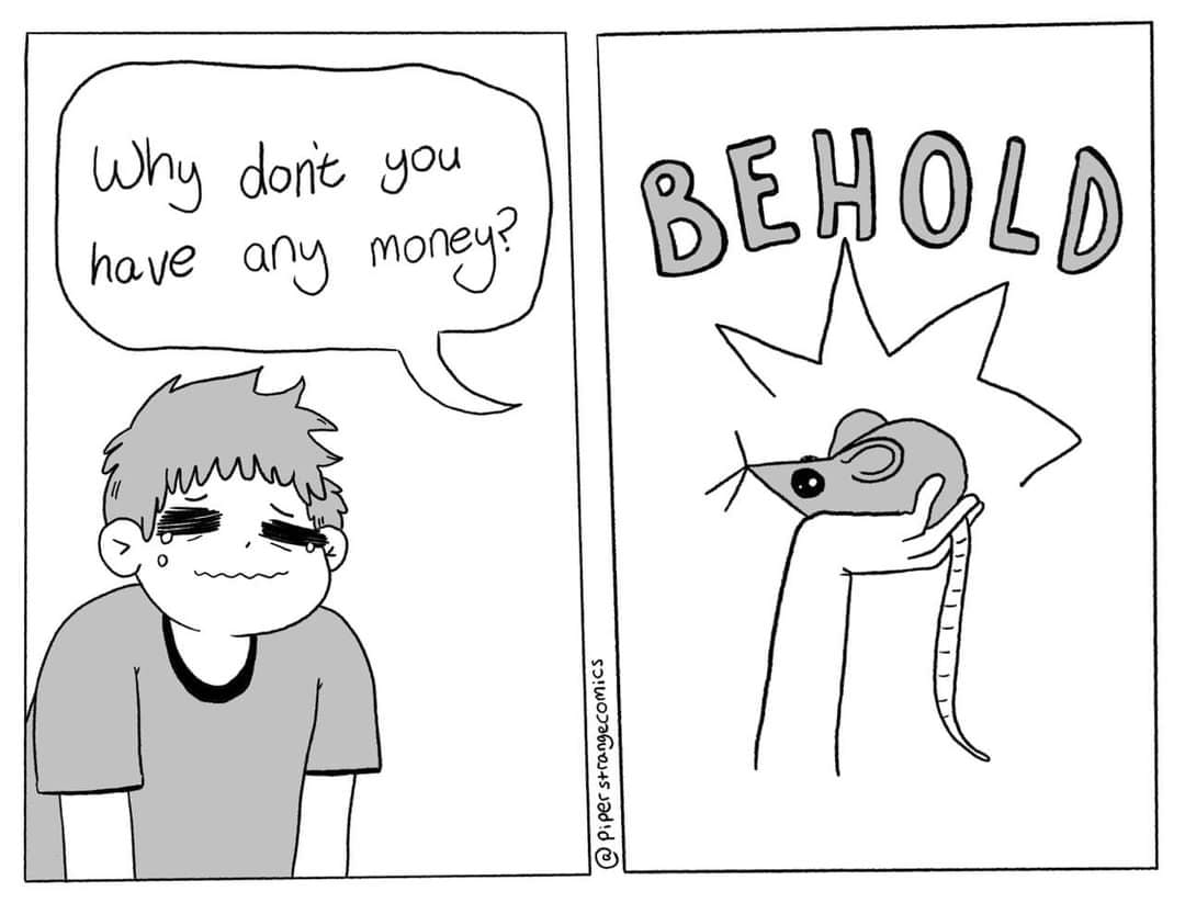 user avatar image for RatsNTats