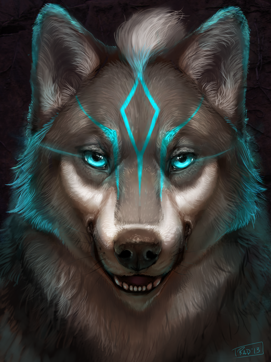 user avatar image for Wils1gamefreak