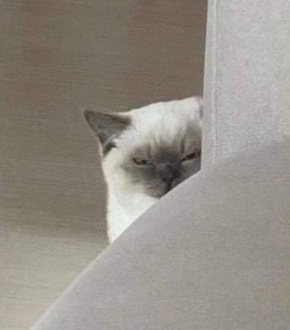 user avatar image for Probably Not Mothman