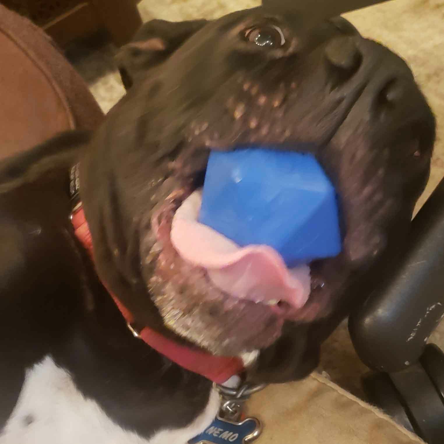 user avatar image for DustyLensCap42