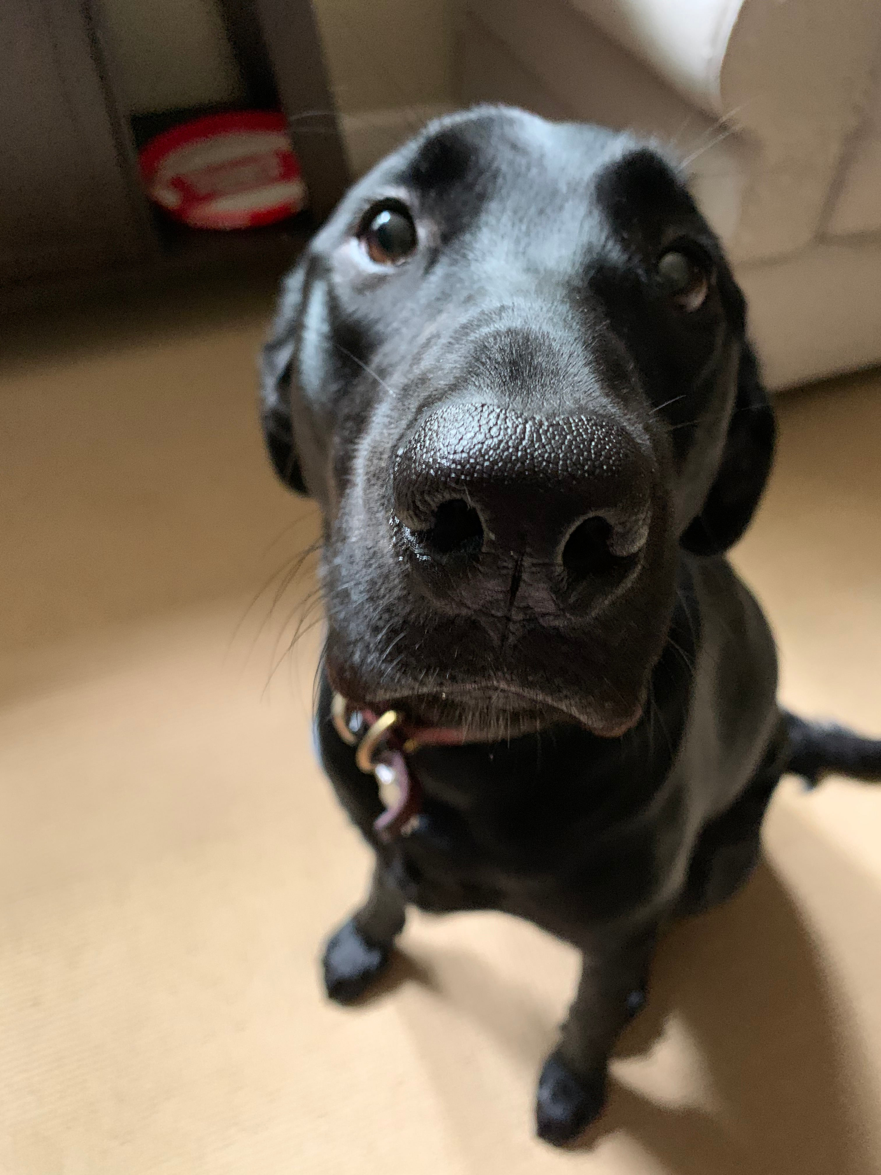 user avatar image for Michael york