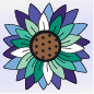 Gay Sunflower